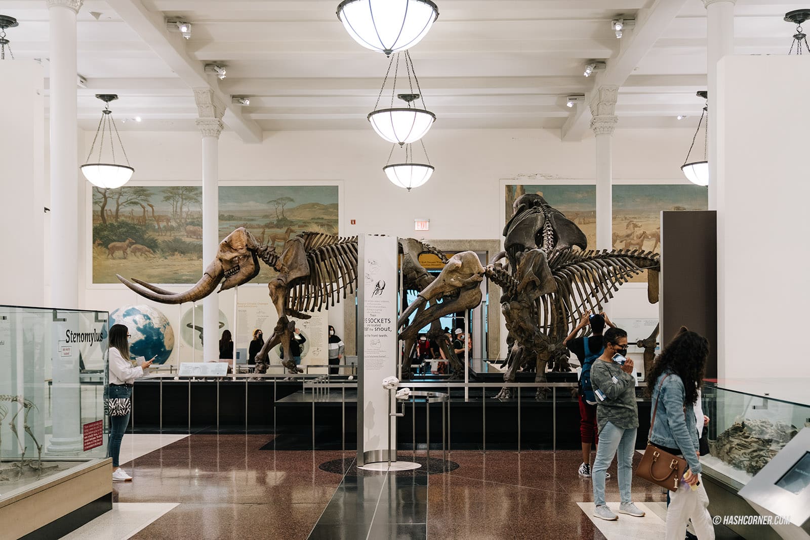 รีวิว American Museum of Natural History x นิวยอร์ก อเมริกา