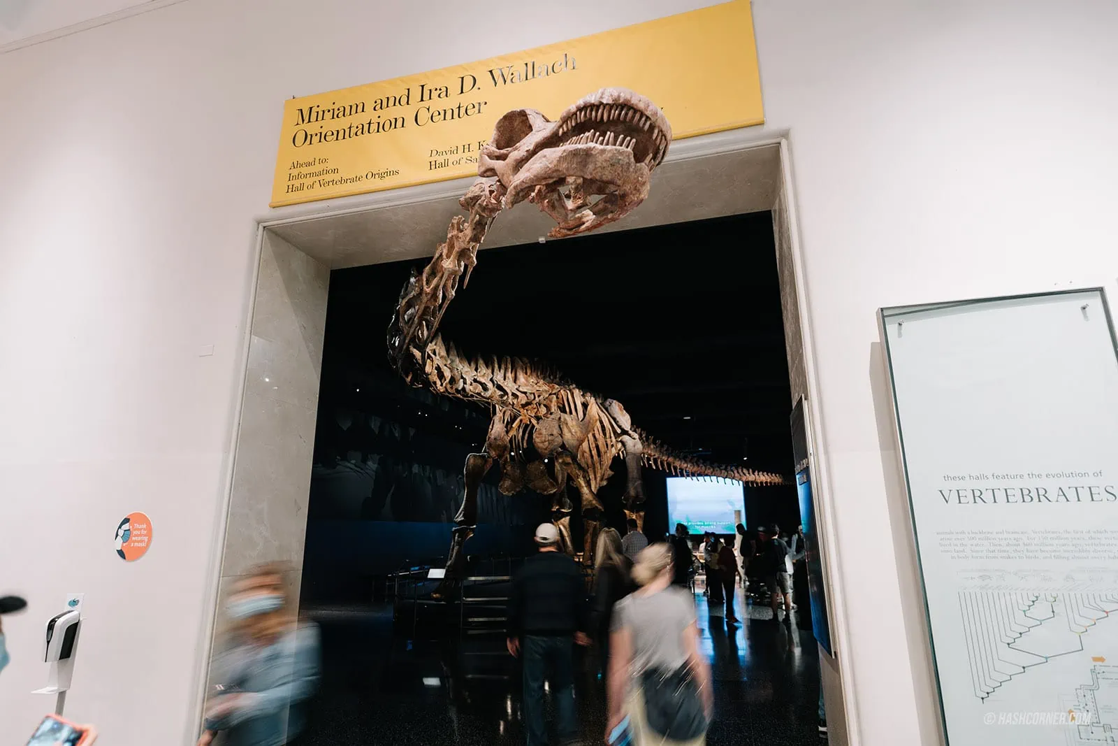 รีวิว American Museum of Natural History x นิวยอร์ก อเมริกา