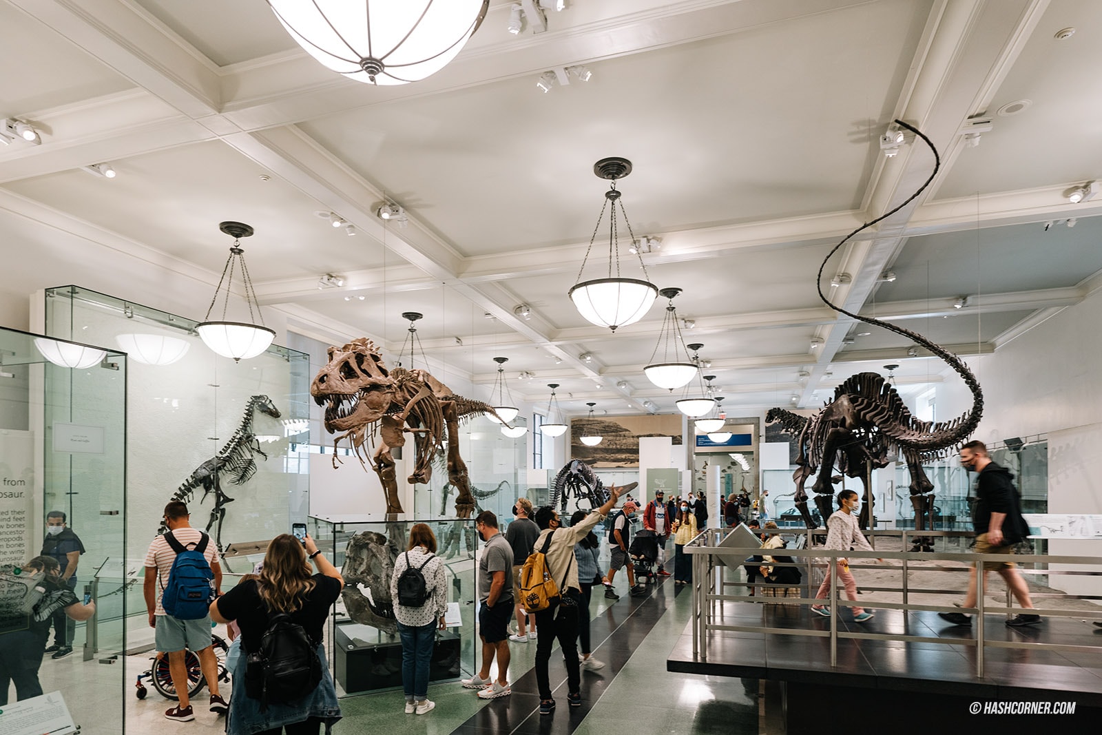รีวิว American Museum of Natural History x นิวยอร์ก อเมริกา