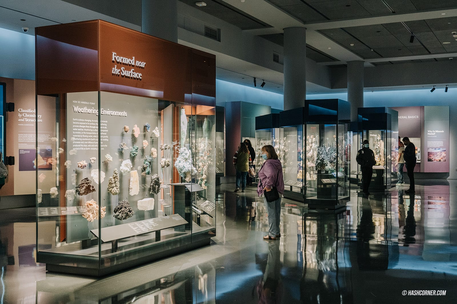 รีวิว American Museum of Natural History x นิวยอร์ก อเมริกา