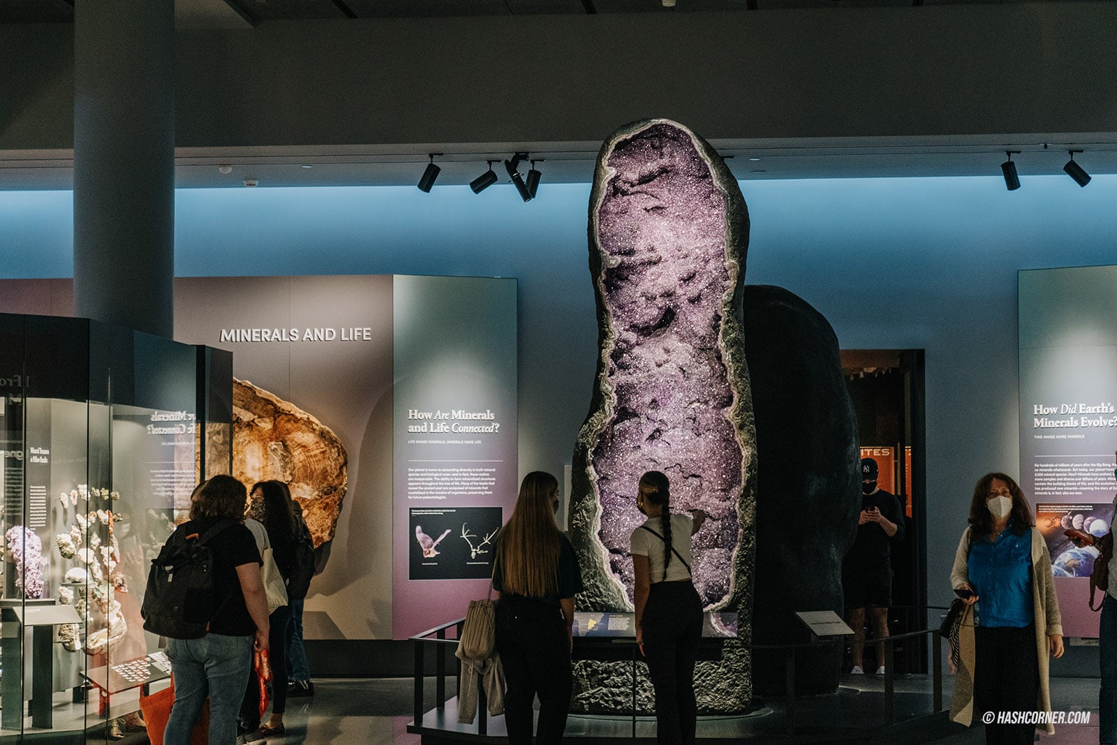 รีวิว American Museum of Natural History x นิวยอร์ก อเมริกา
