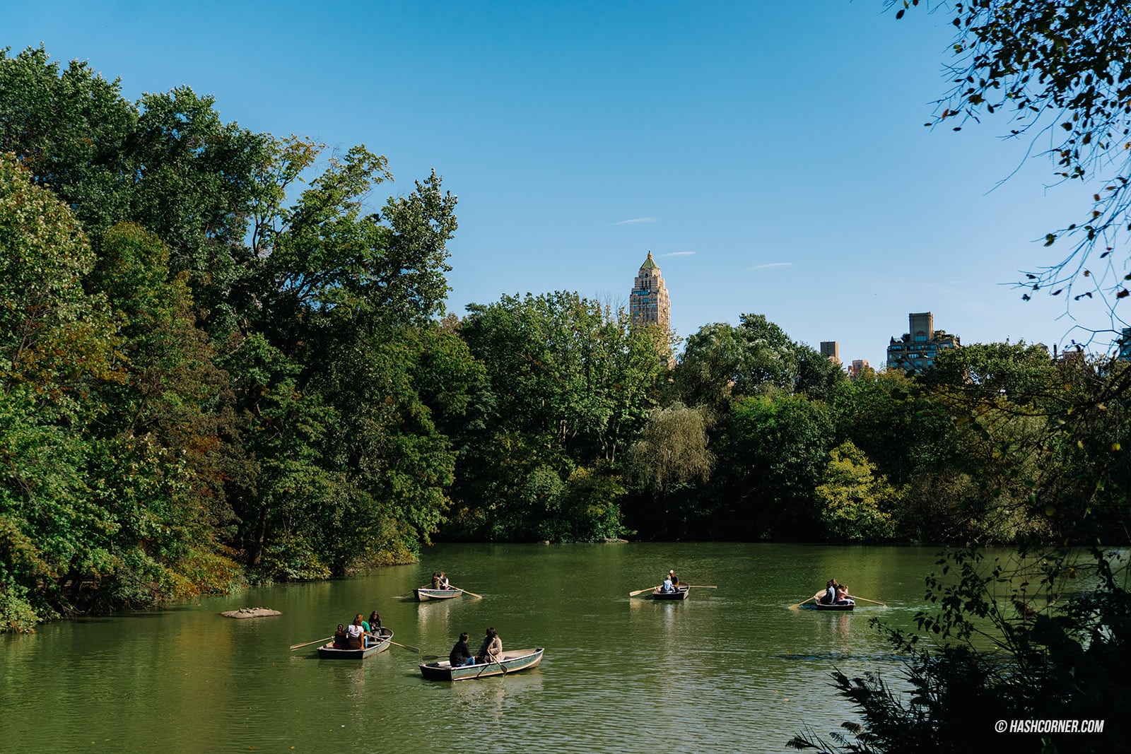 รีวิว เซ็นทรัลพาร์ค (Central Park) x นิวยอร์ก สวนสาธารณะที่ดังที่สุดในโลก