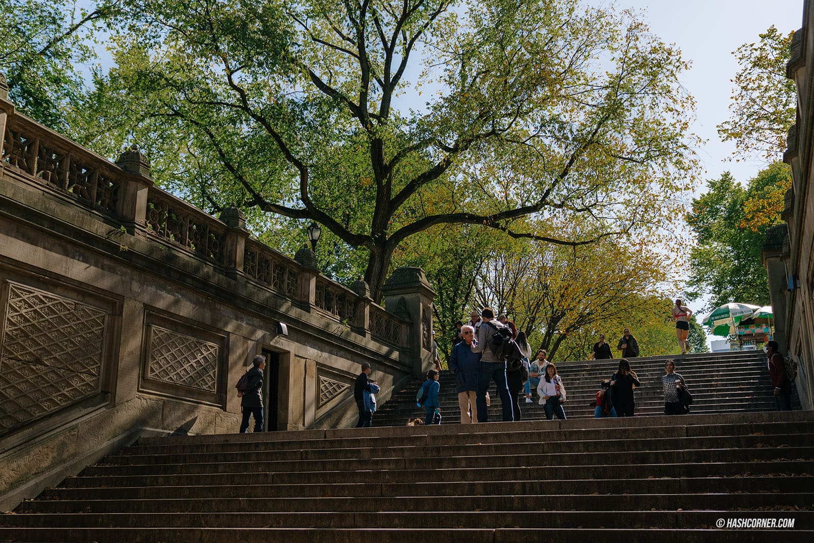 รีวิว เซ็นทรัลพาร์ค (Central Park) x นิวยอร์ก สวนสาธารณะที่ดังที่สุดในโลก