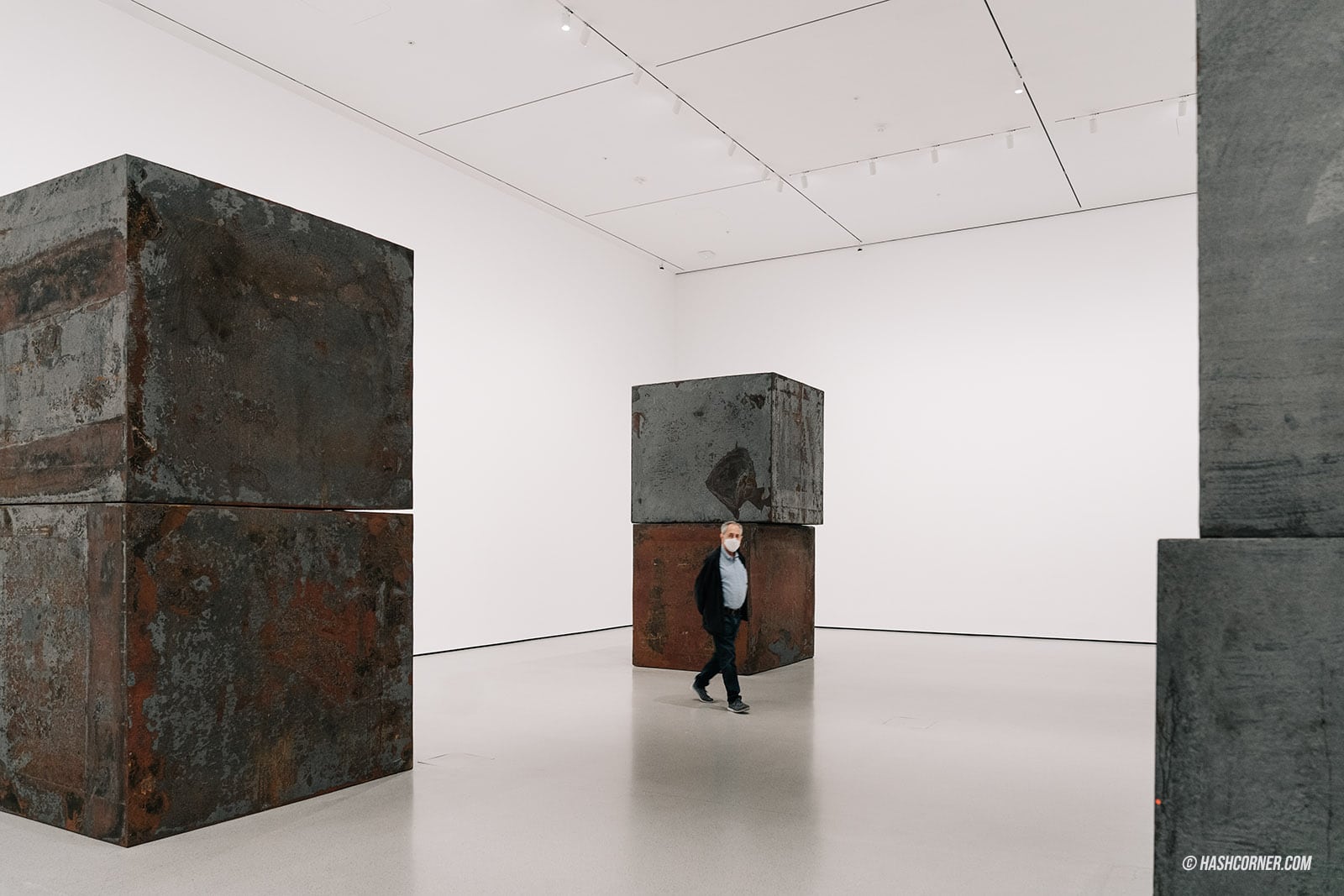 รีวิว Museum of Modern Art (MoMA) x นิวยอร์ก อาร์ตมิวเซียมท็อปโลก