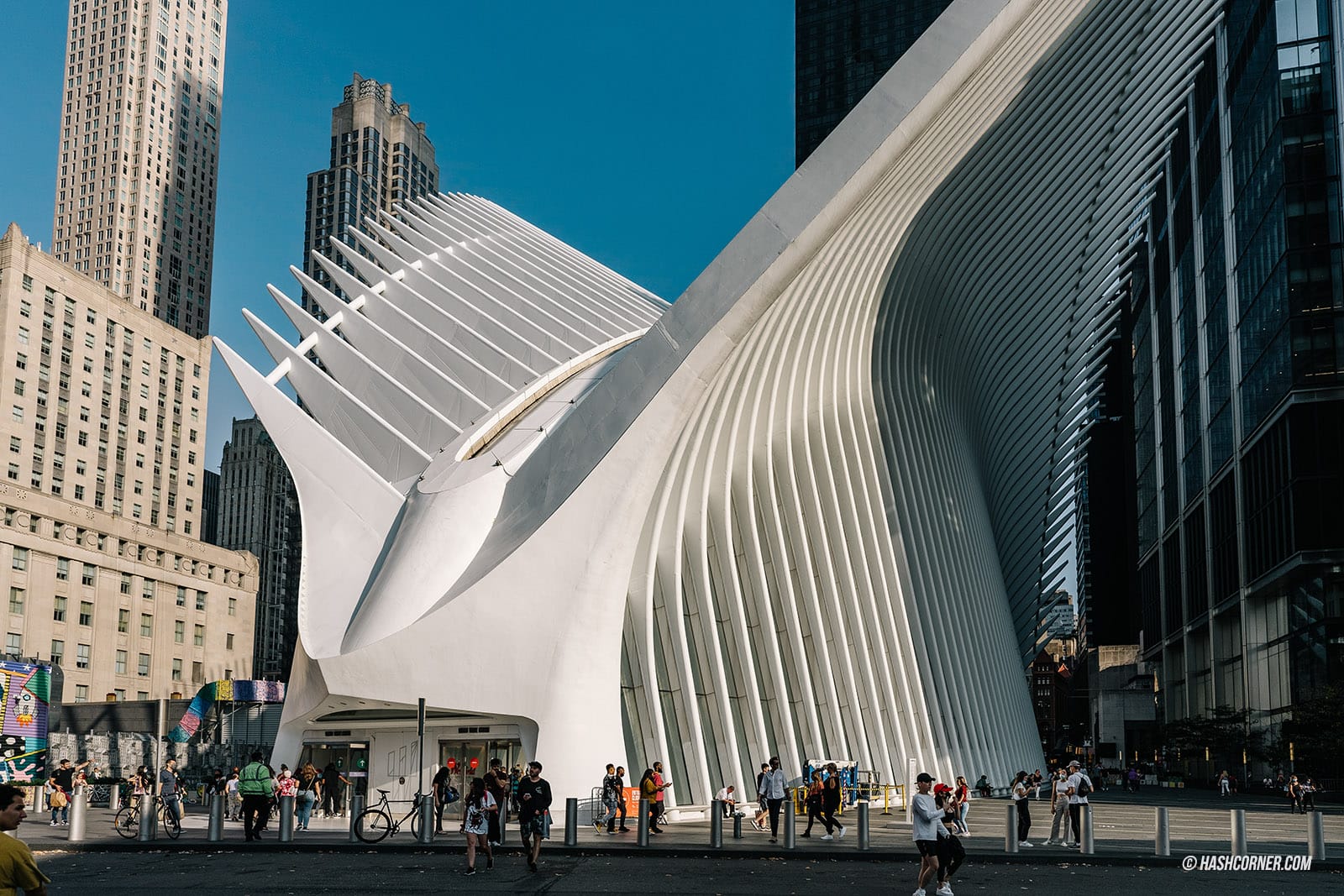 รีวิว นิวยอร์ก (New York City) x อเมริกา 25 ที่เที่ยวจัดเต็มเมืองในฝัน