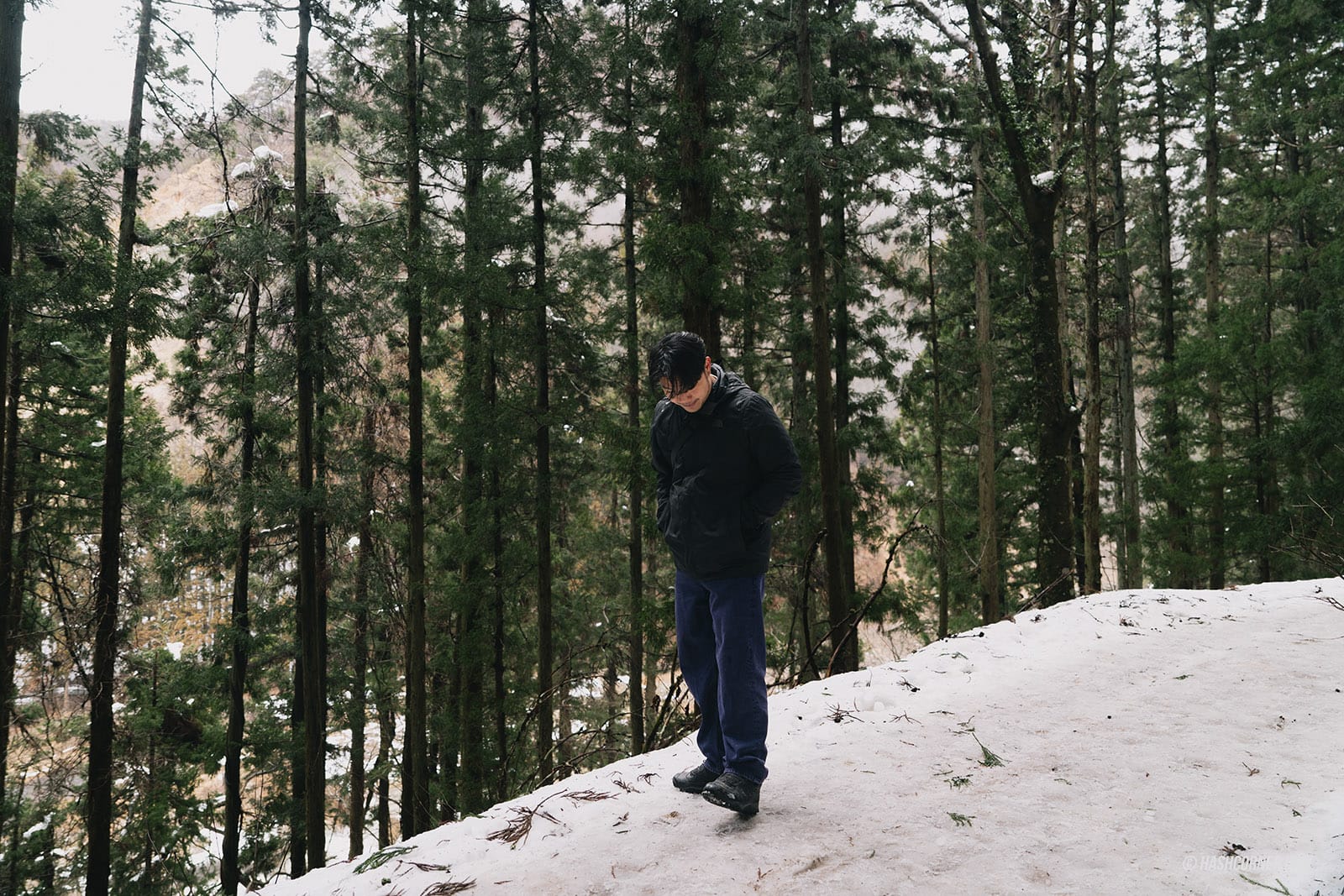 รีวิว สวนลิงจิโกคุดานิ (Snow Monkey Park) x นากาโน่ ดูลิงหิมะแช่ออนเซ็น