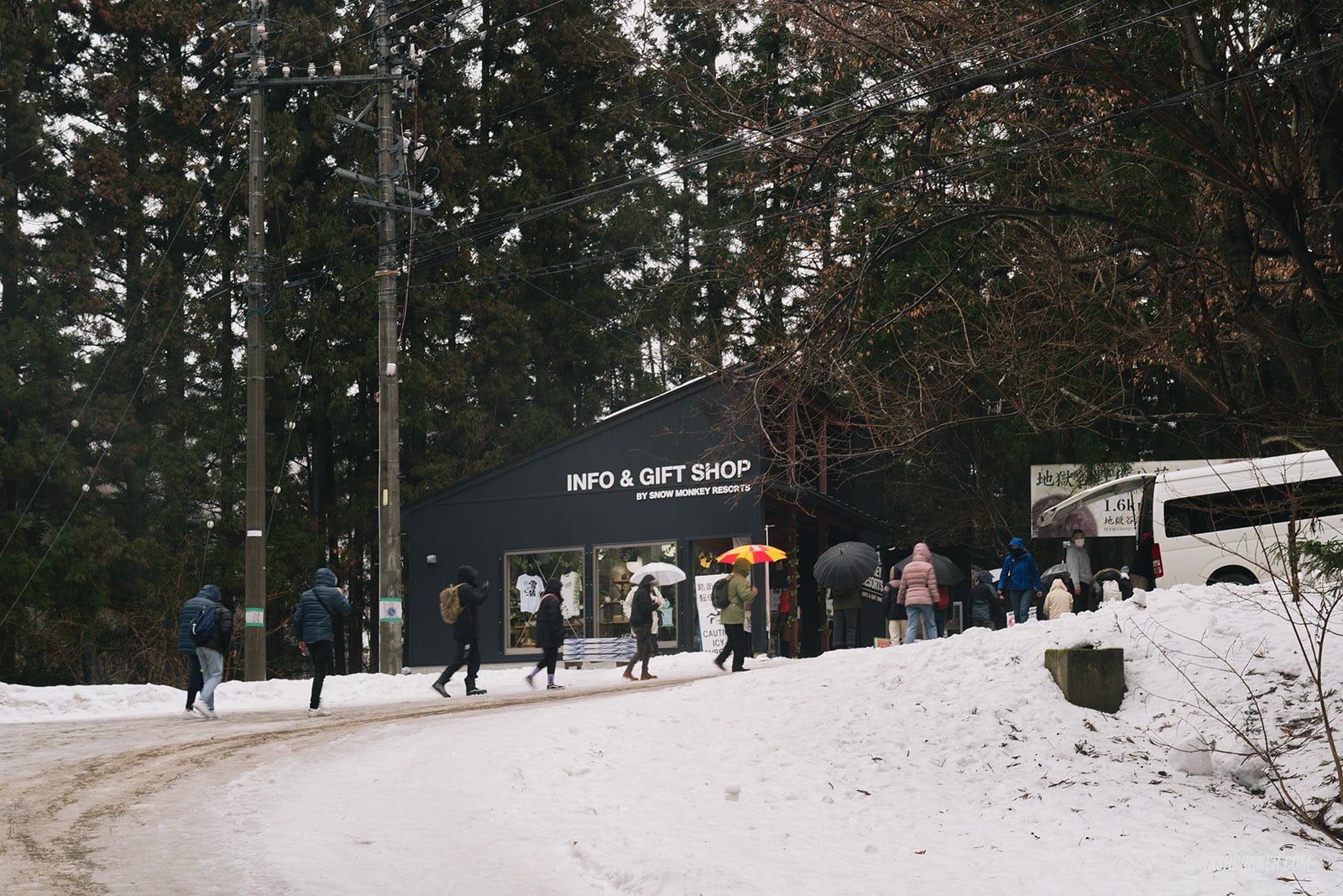 รีวิว สวนลิงจิโกคุดานิ (Snow Monkey Park) x นากาโน่ ดูลิงหิมะแช่ออนเซ็น