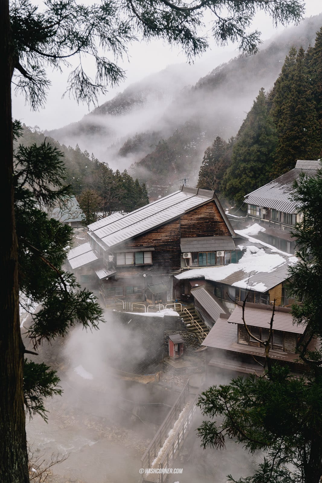 รีวิว สวนลิงจิโกคุดานิ (Snow Monkey Park) x นากาโน่ ดูลิงหิมะแช่ออนเซ็น