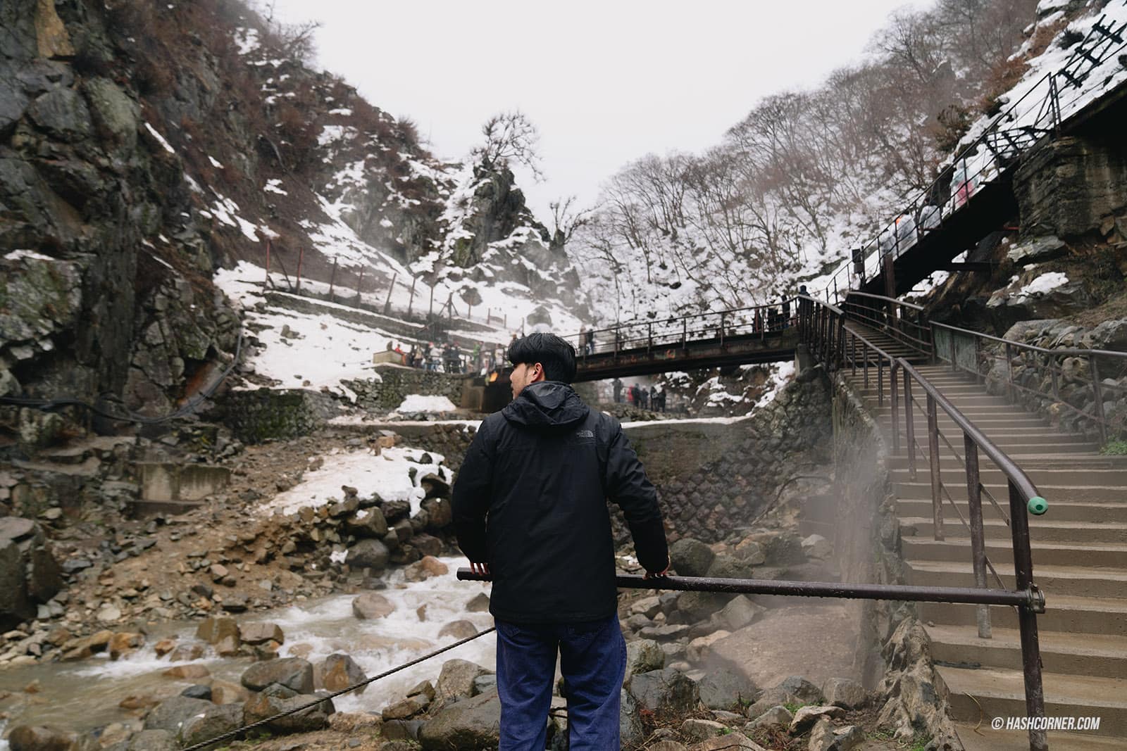 รีวิว สวนลิงจิโกคุดานิ (Snow Monkey Park) x นากาโน่ ดูลิงหิมะแช่ออนเซ็น