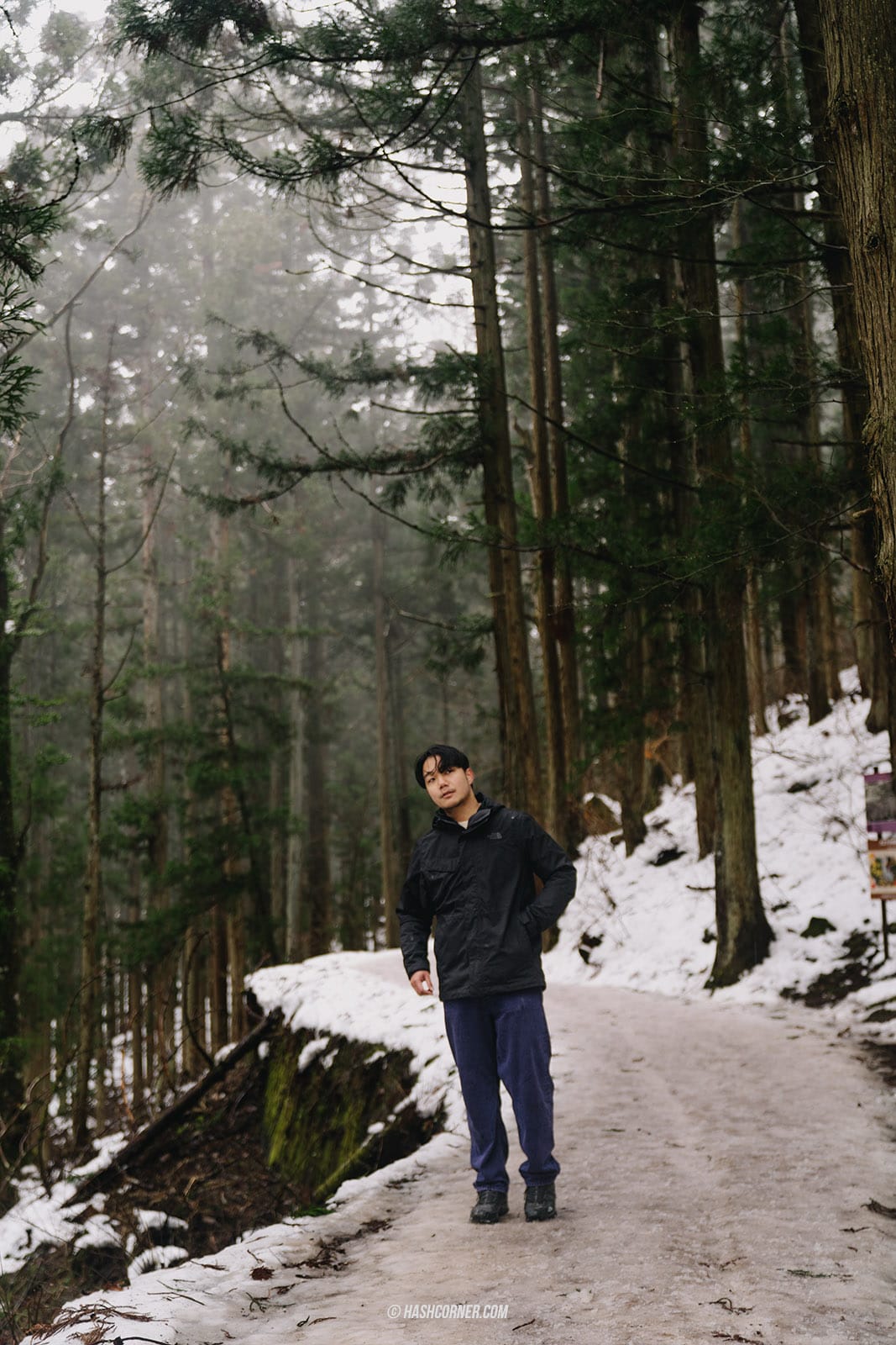 รีวิว นากาโน่ (Nagano) x ญี่ปุ่น โร้ดทริปหน้าหนาว ดูลิงแช่ออนเซ็น