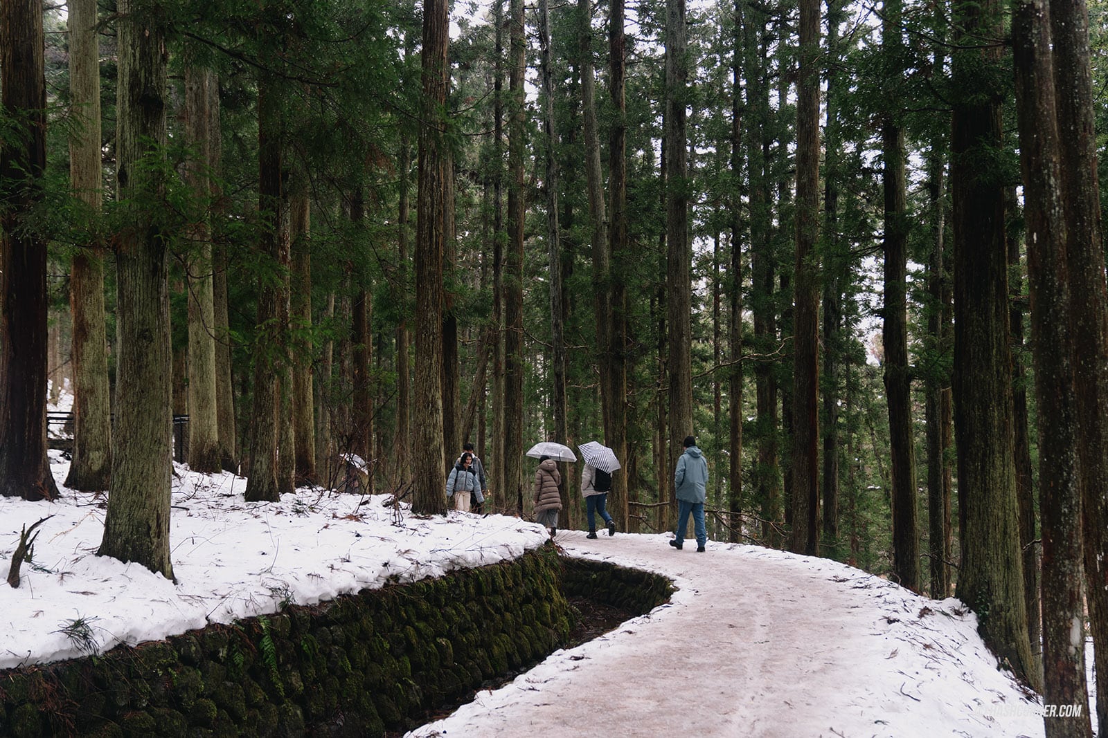 รีวิว นากาโน่ (Nagano) x ญี่ปุ่น โร้ดทริปหน้าหนาว ดูลิงแช่ออนเซ็น