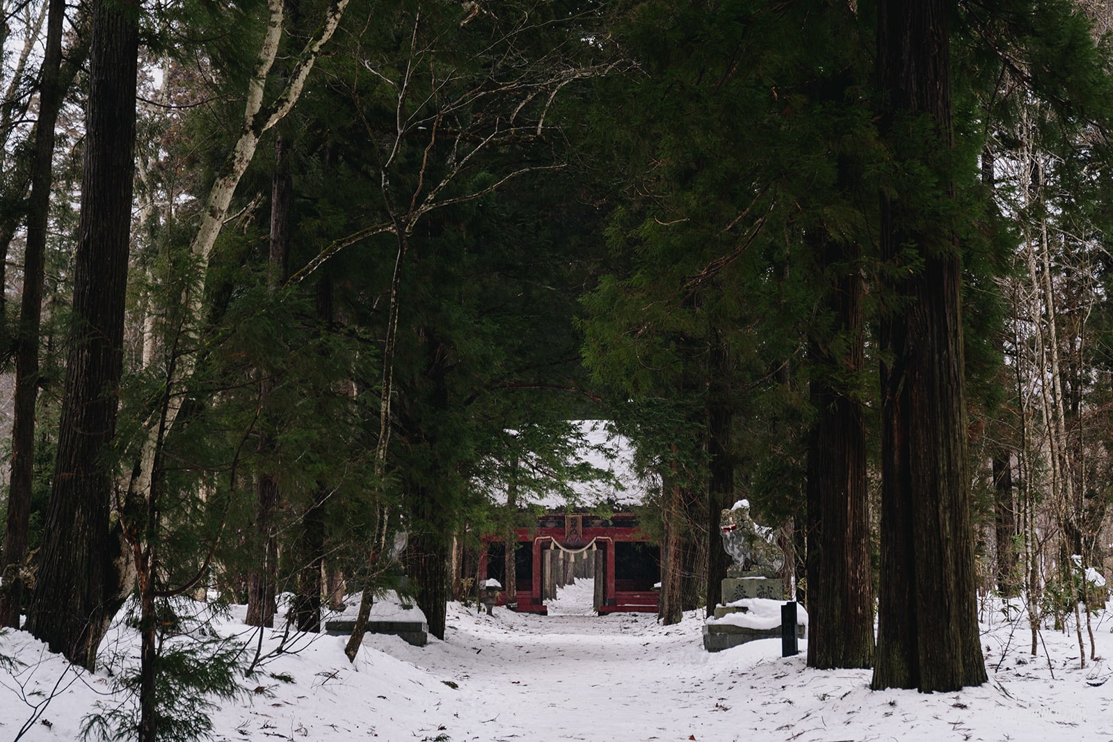 รีวิว ศาลเจ้าโทงาคุชิ โอคุชะ (Togakushi Shrine Okusha) x นากาโน่