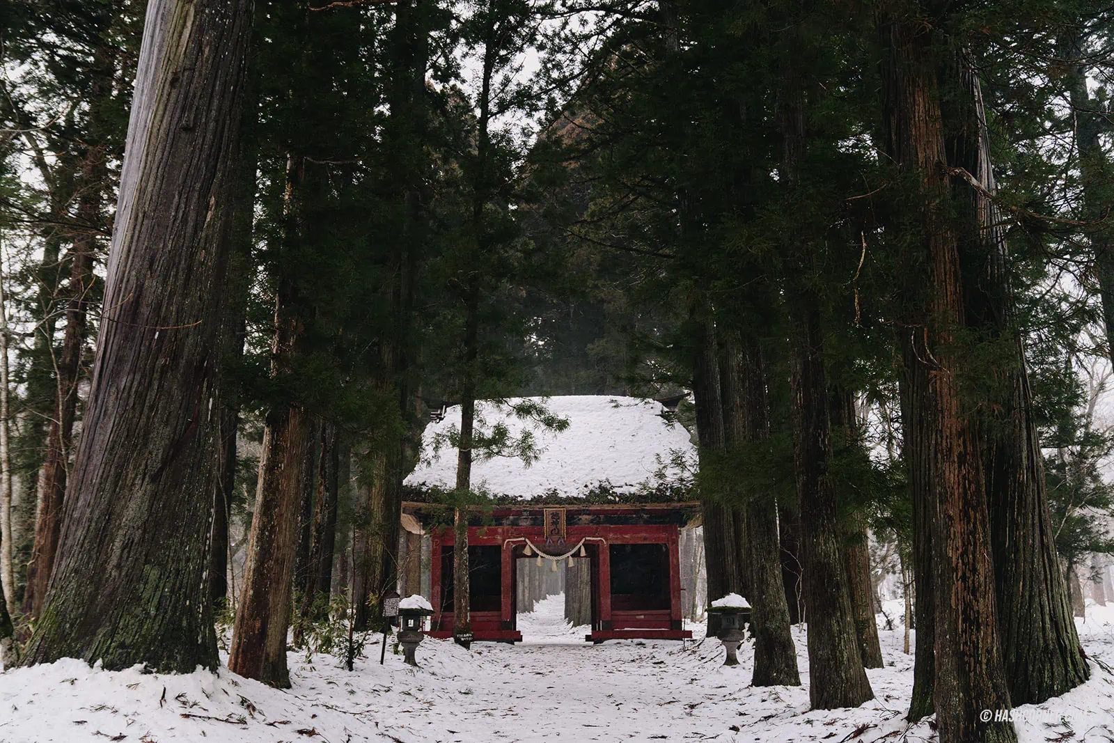รีวิว ศาลเจ้าโทงาคุชิ โอคุชะ (Togakushi Shrine Okusha) x นากาโน่