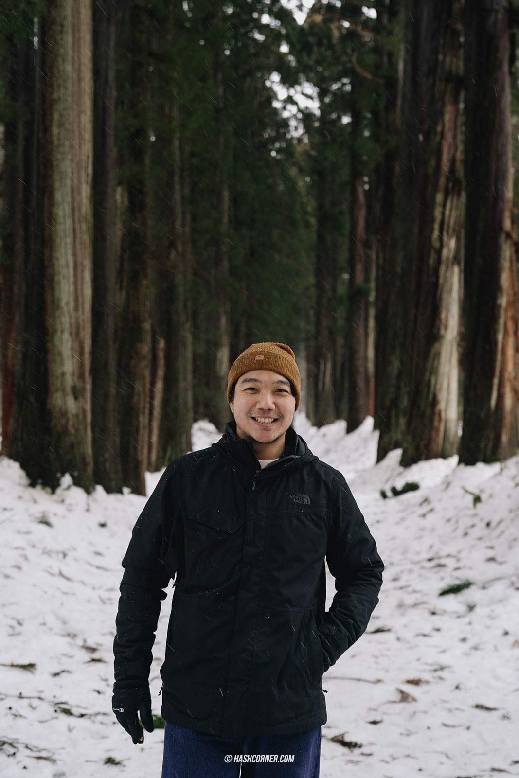 รีวิว นากาโน่ (Nagano) x ญี่ปุ่น โร้ดทริปหน้าหนาว ดูลิงแช่ออนเซ็น