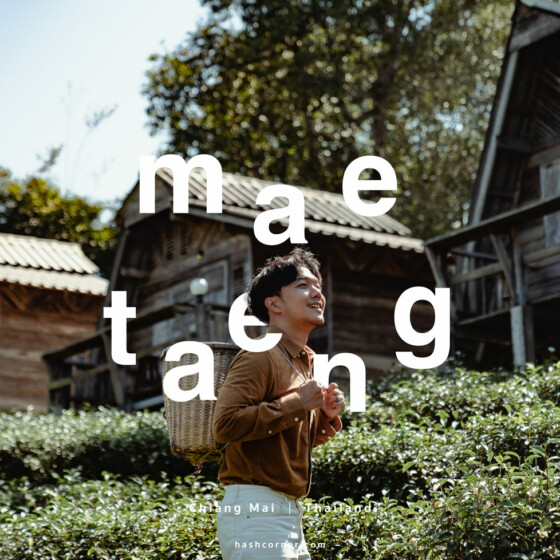 Mae Taeng, Chiang Mai: A Local&#8217;s In-depth Travel Review