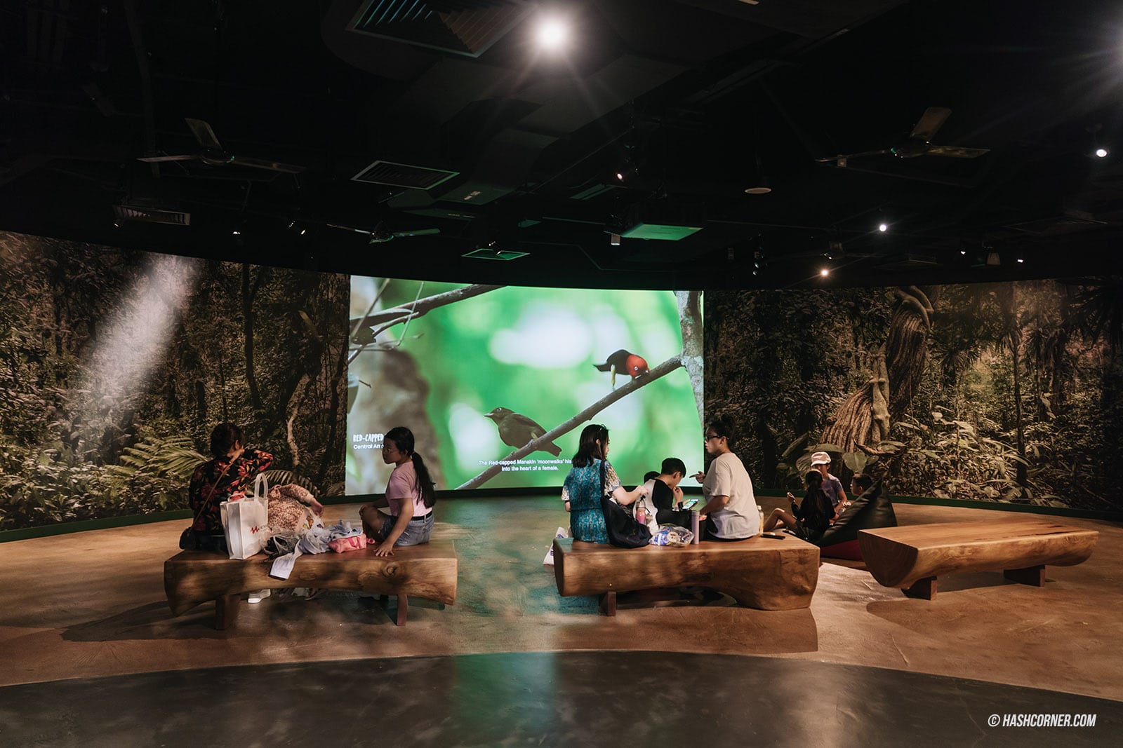 รีวิว Bird Paradise x สิงคโปร์ เที่ยวสวนนกใหญ่ที่สุดในเอเชีย