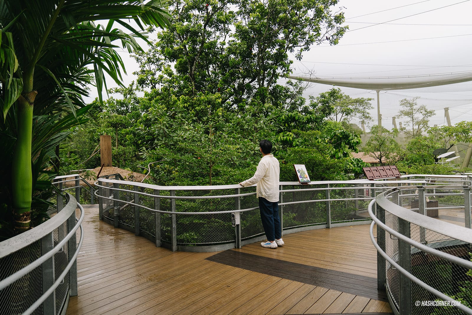 รีวิว Bird Paradise x สิงคโปร์ เที่ยวสวนนกใหญ่ที่สุดในเอเชีย