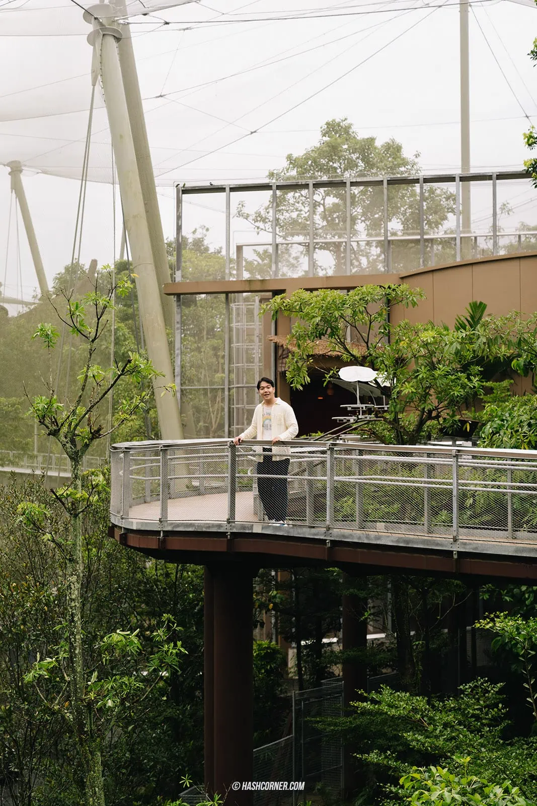 รีวิว Bird Paradise + สวนสัตว์สิงคโปร์ เที่ยวเดย์ทริปส่องสัตว์ &#x1f427;