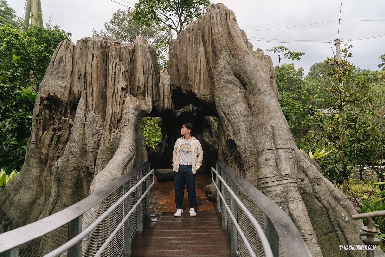 รีวิว Bird Paradise x สิงคโปร์ เที่ยวสวนนกใหญ่ที่สุดในเอเชีย