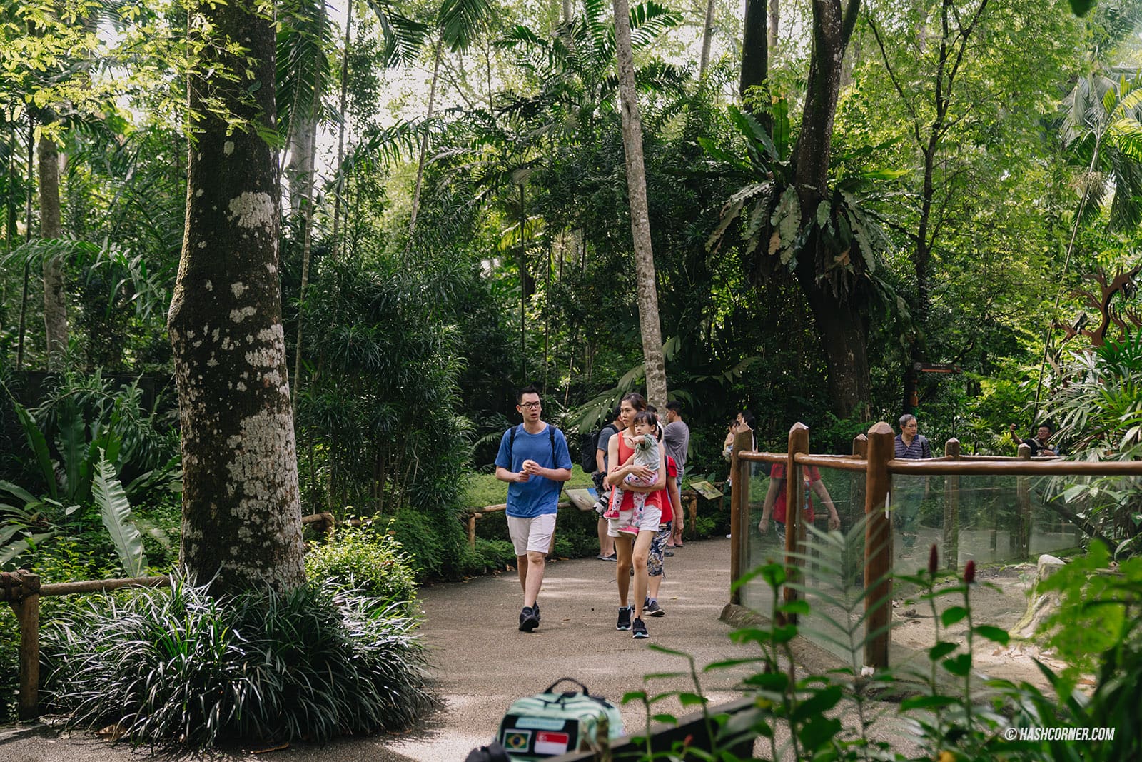 รีวิว Singapore Zoo x สิงคโปร์ เที่ยวส่องสวนสัตว์สิงคโปร์