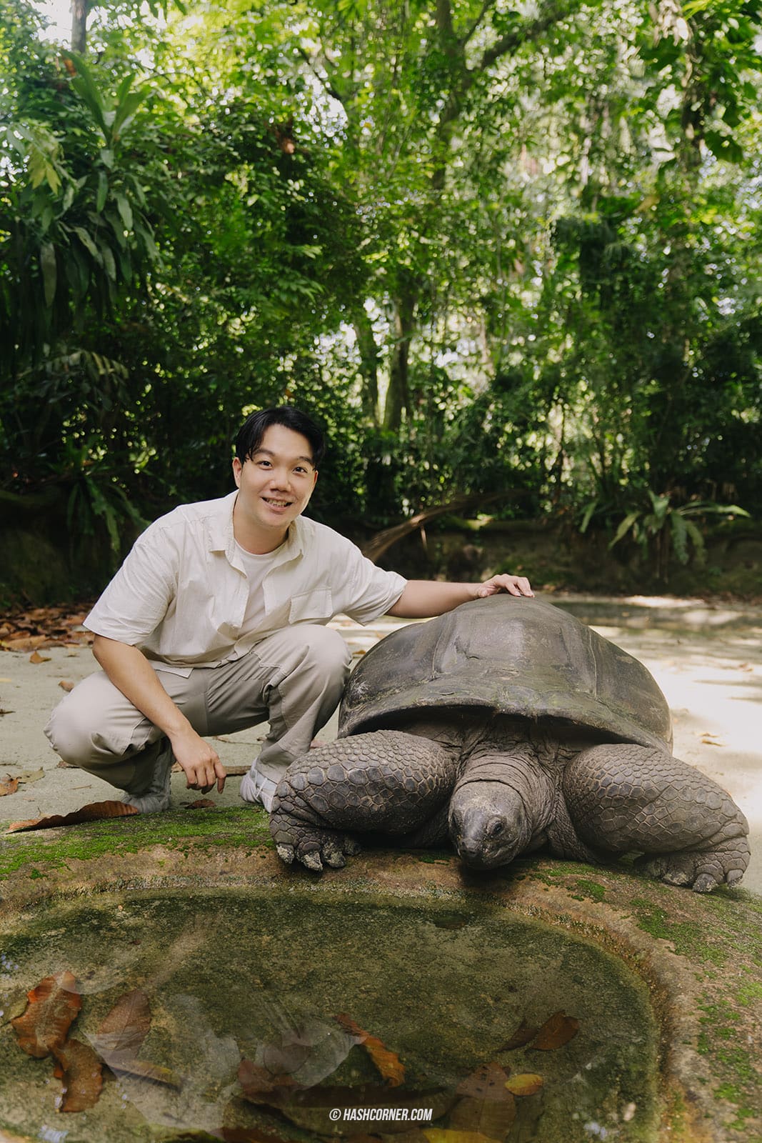 รีวิว Singapore Zoo x สิงคโปร์ เที่ยวส่องสวนสัตว์สิงคโปร์