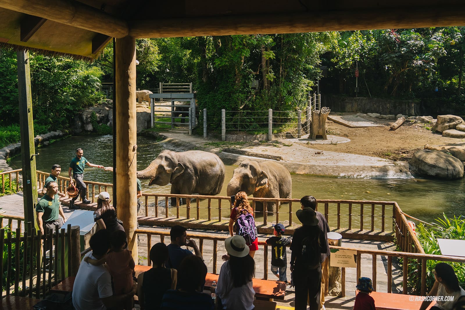 รีวิว Singapore Zoo x สิงคโปร์ เที่ยวส่องสวนสัตว์สิงคโปร์