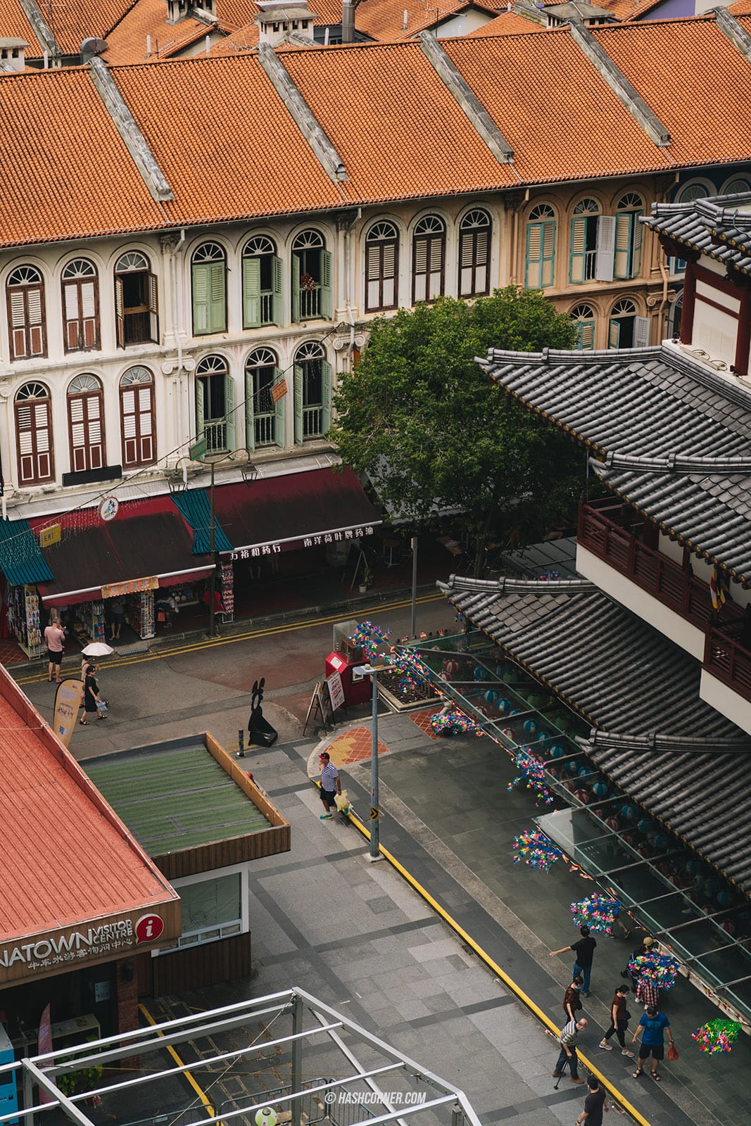 รีวิว วัดพระเขี้ยวแก้ว (Buddha Tooth Relic Temple) x สิงคโปร์