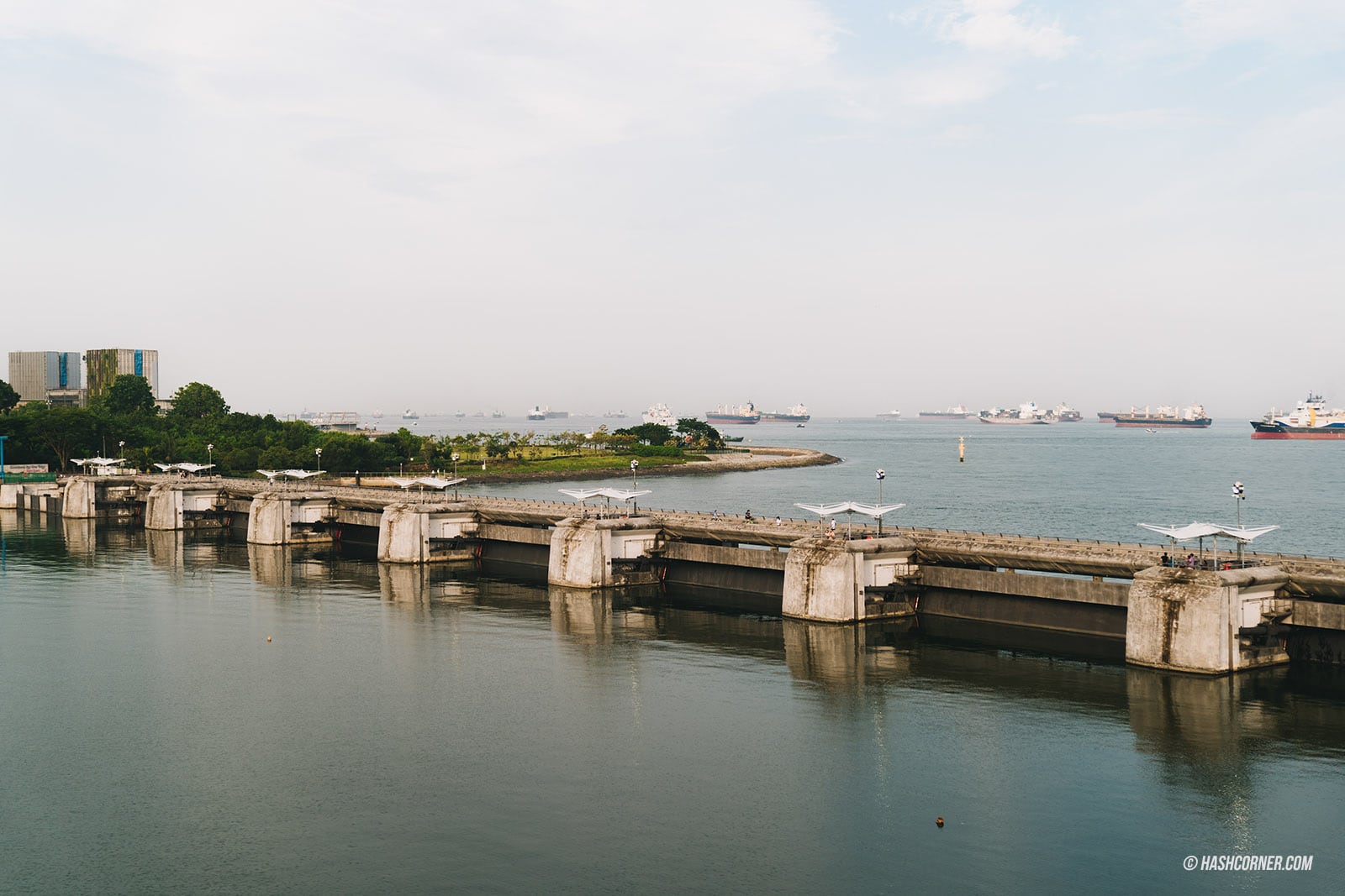 รีวิว Marina Barrage x สิงคโปร์ เล่นว่าวชมวิวเมือง