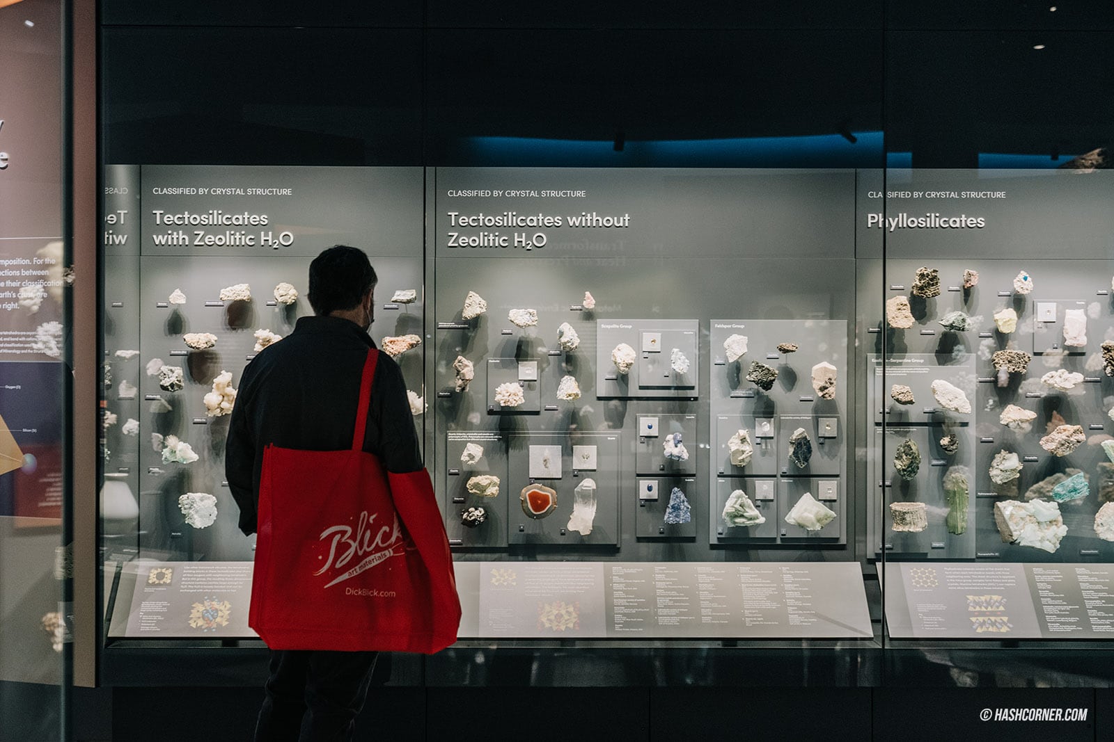 รีวิว American Museum of Natural History x นิวยอร์ก อเมริกา
