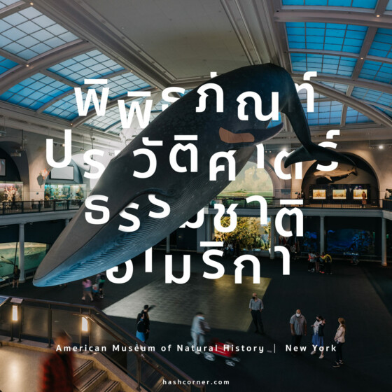 รีวิว American Museum of Natural History x นิวยอร์ก อเมริกา