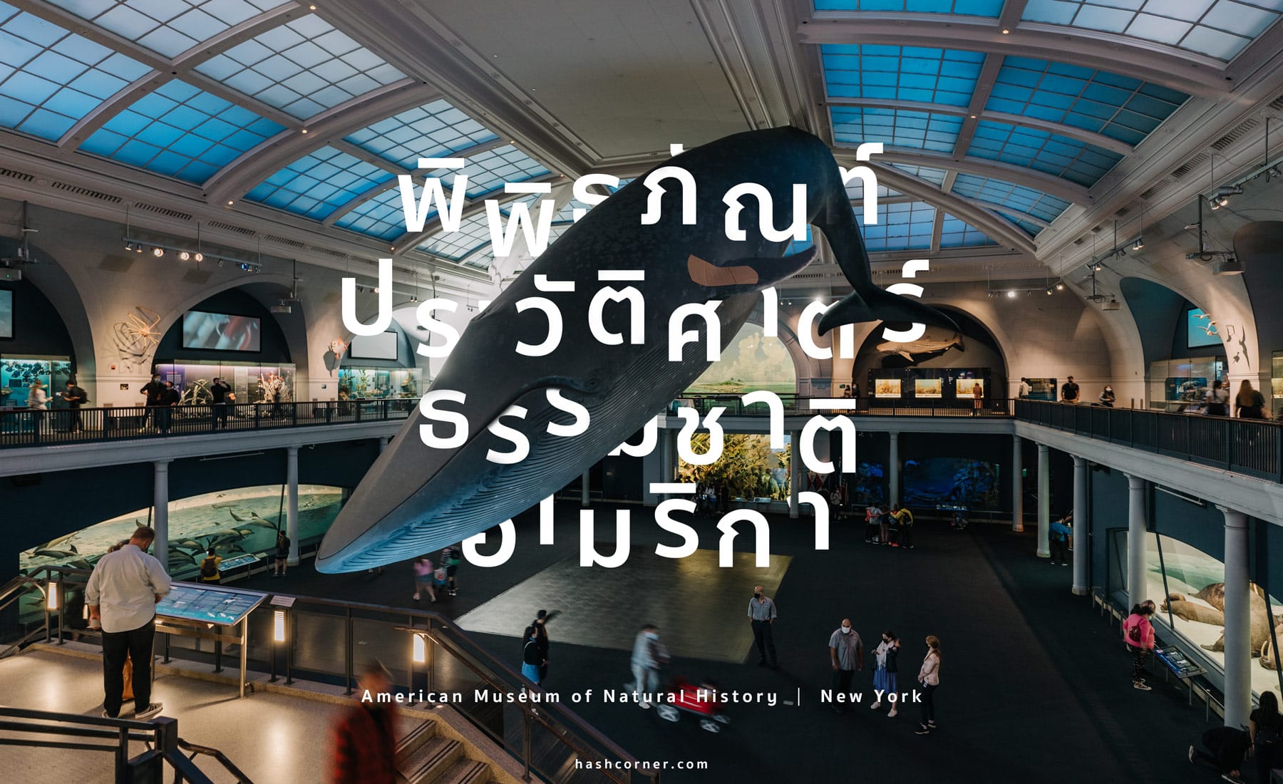 รีวิว American Museum of Natural History x นิวยอร์ก อเมริกา