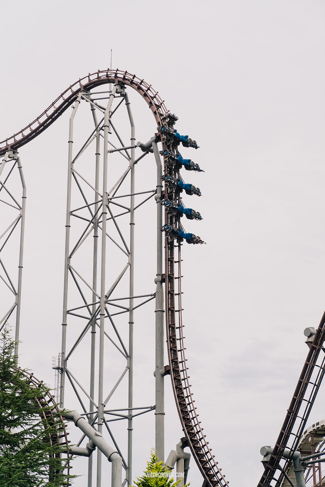 รีวิว สวนสนุก Fuji-Q Highland x คาวากุจิโกะ ทุกเรื่องที่ต้องรู้ อัปเดทปี 2024
