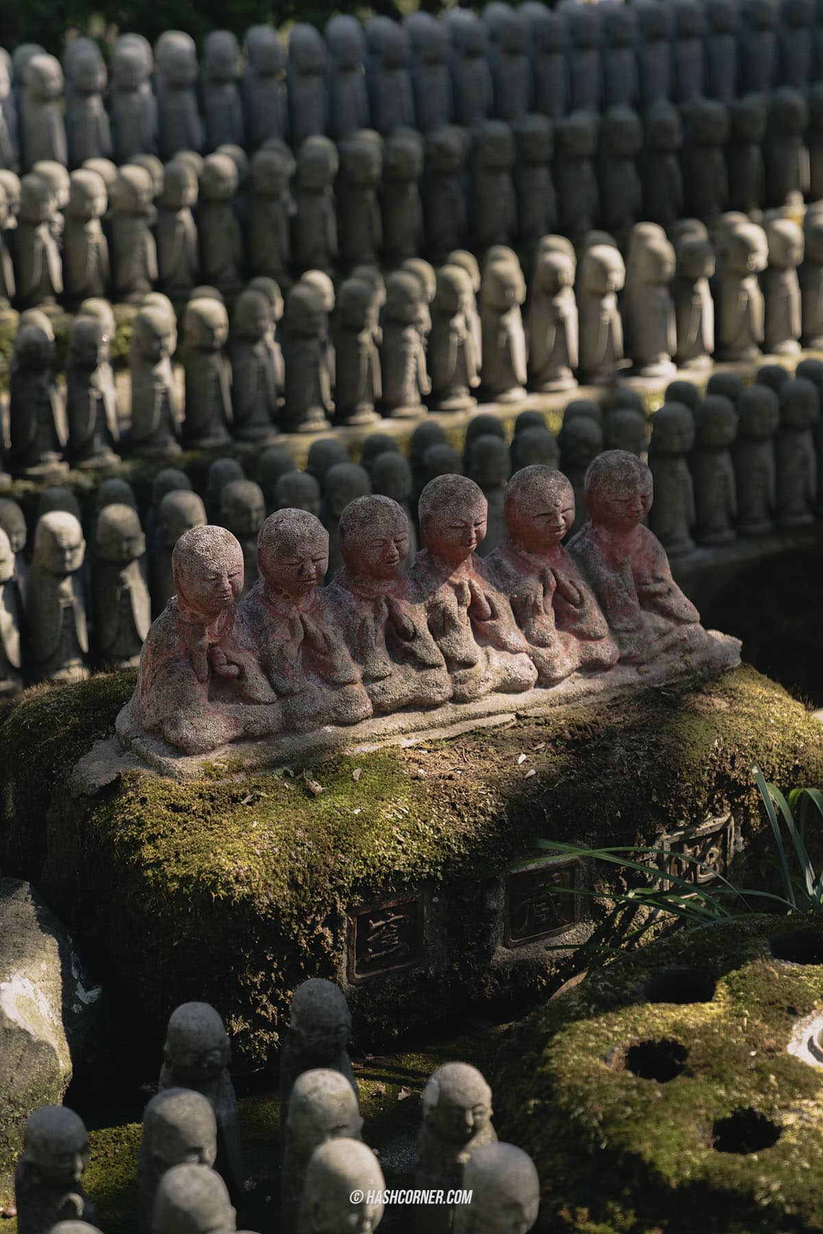 รีวิว วัดฮาเซเดระ (Hasedera Temple) x คามาคุระ วัดเจ้าแม่กวนอิมองค์ใหญ่ที่สุดในญี่ปุ่น