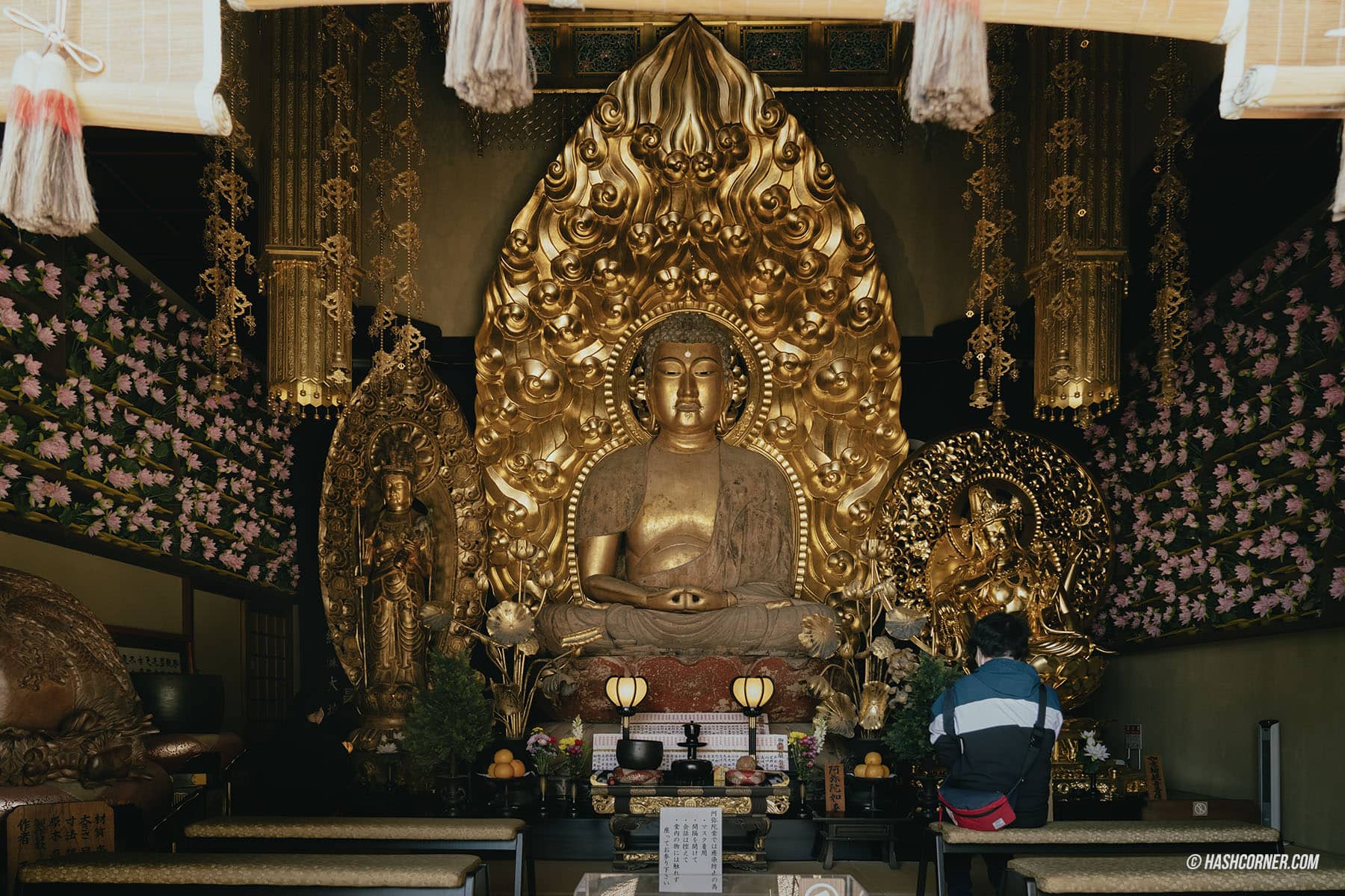 รีวิว วัดฮาเซเดระ (Hasedera Temple) x คามาคุระ วัดเจ้าแม่กวนอิมองค์ใหญ่ที่สุดในญี่ปุ่น