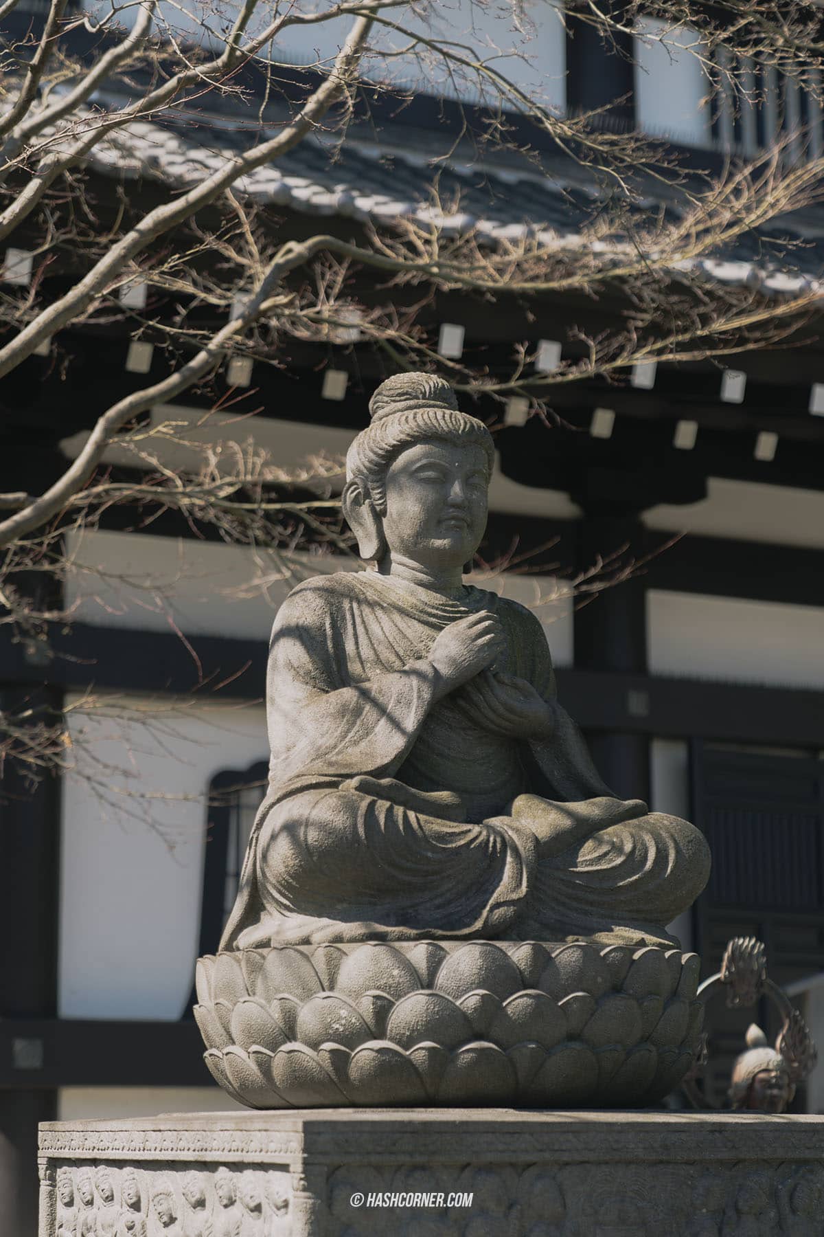 รีวิว วัดฮาเซเดระ (Hasedera Temple) x คามาคุระ วัดเจ้าแม่กวนอิมองค์ใหญ่ที่สุดในญี่ปุ่น