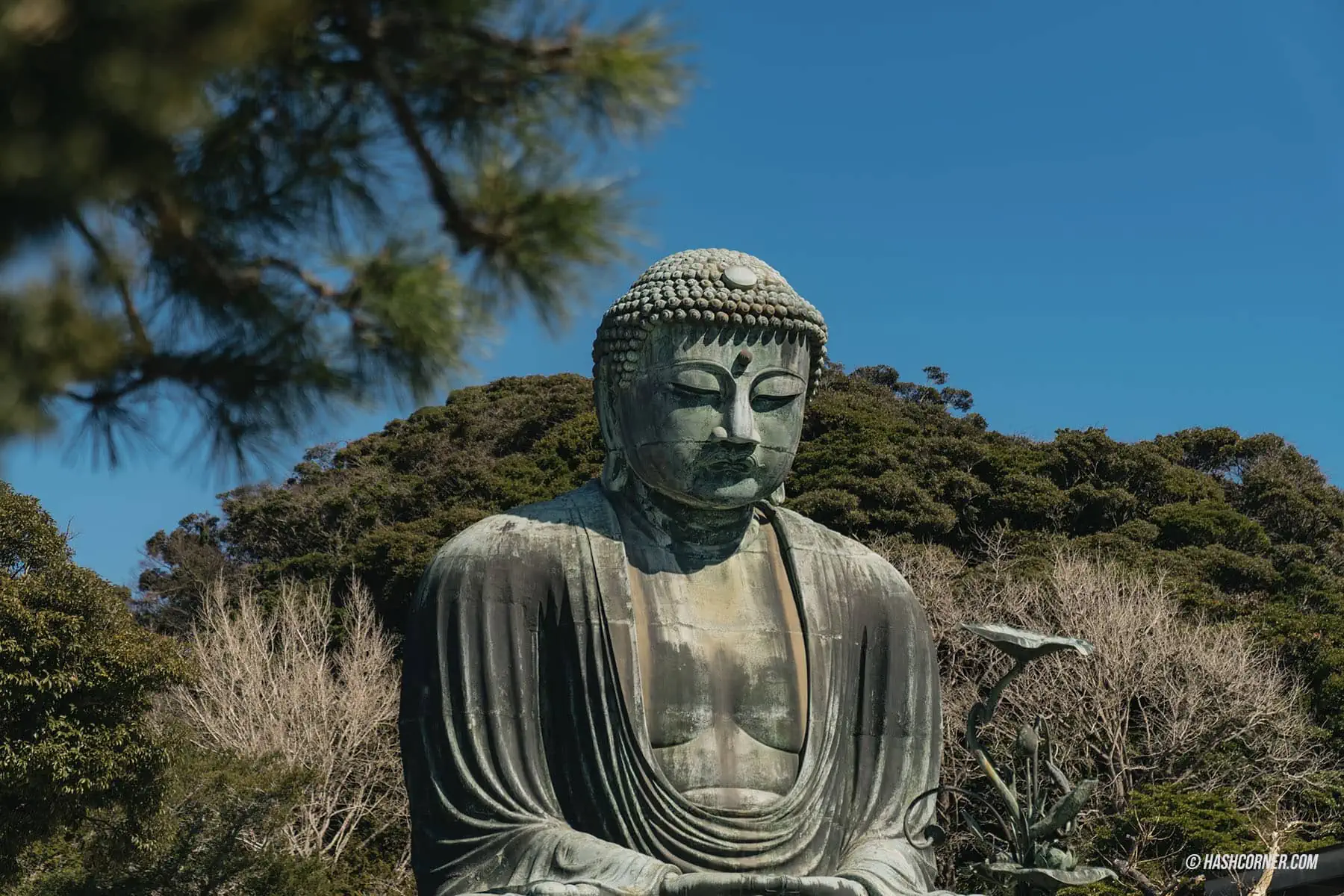 รีวิว คามาคุระ (Kamakura) เที่ยวไหว้พระใหญ่ไดบุตซึ 