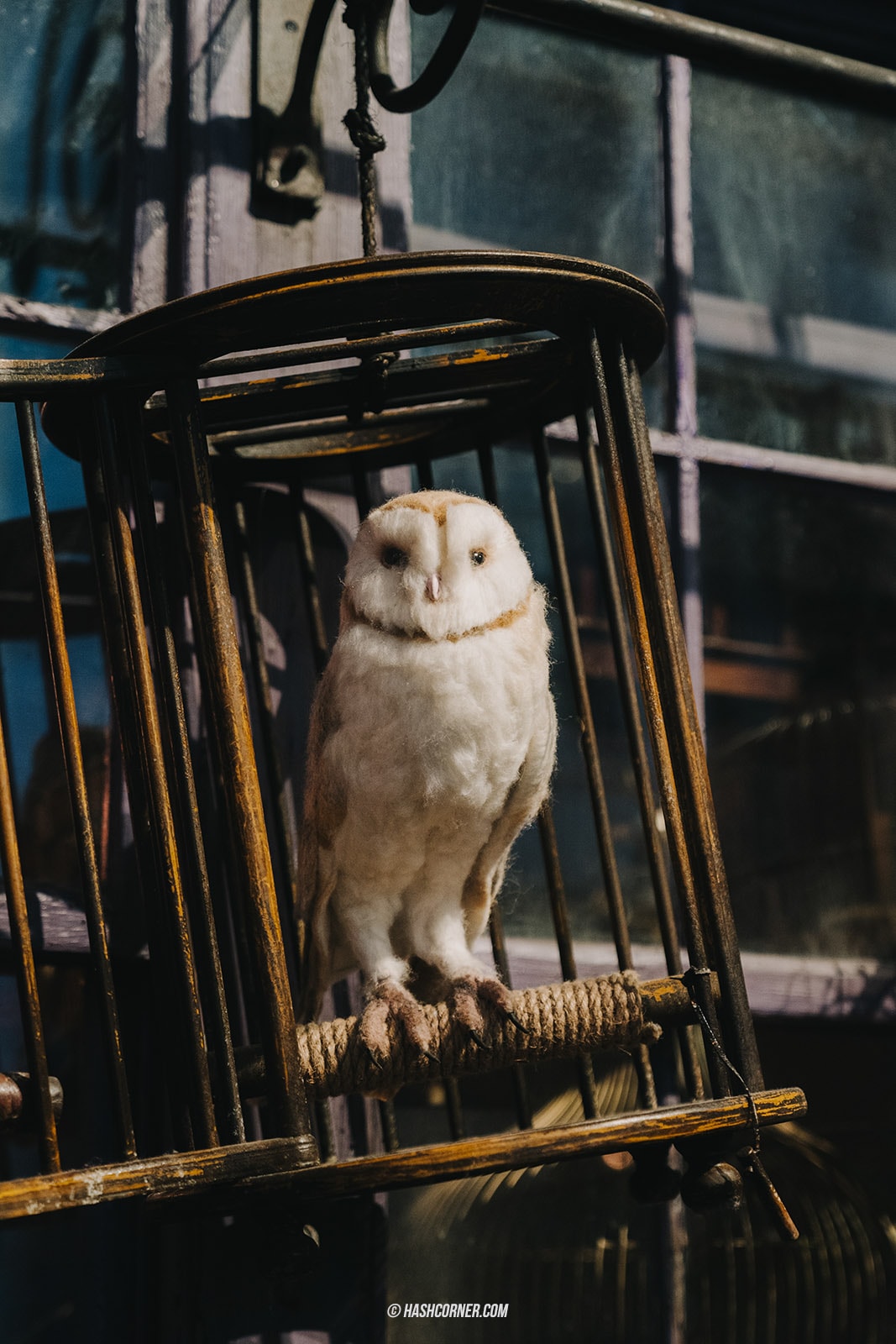รีวิว Harry Potter – Warner Bros. Studio Tour Tokyo โตเกียว