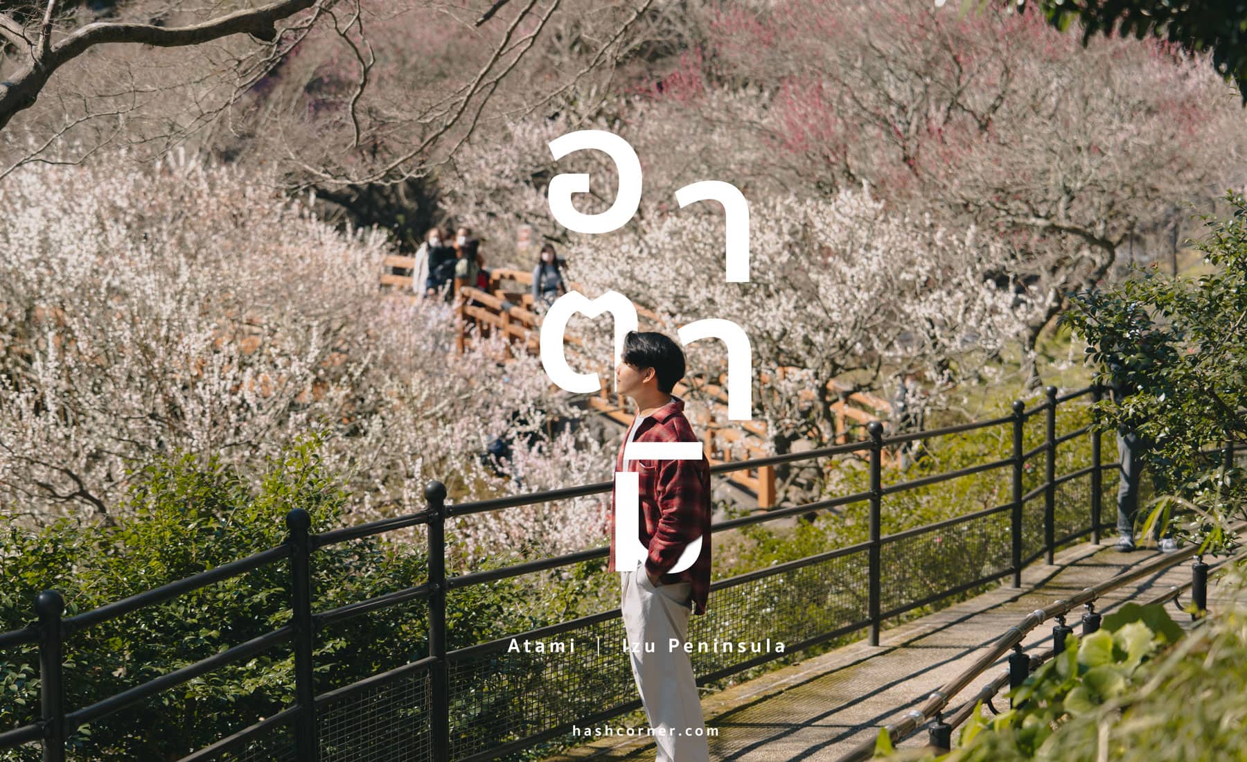 รีวิว อาตามิ (Atami) x ญี่ปุ่น เที่ยวชมดอกบ๊วยบานก่อนใคร