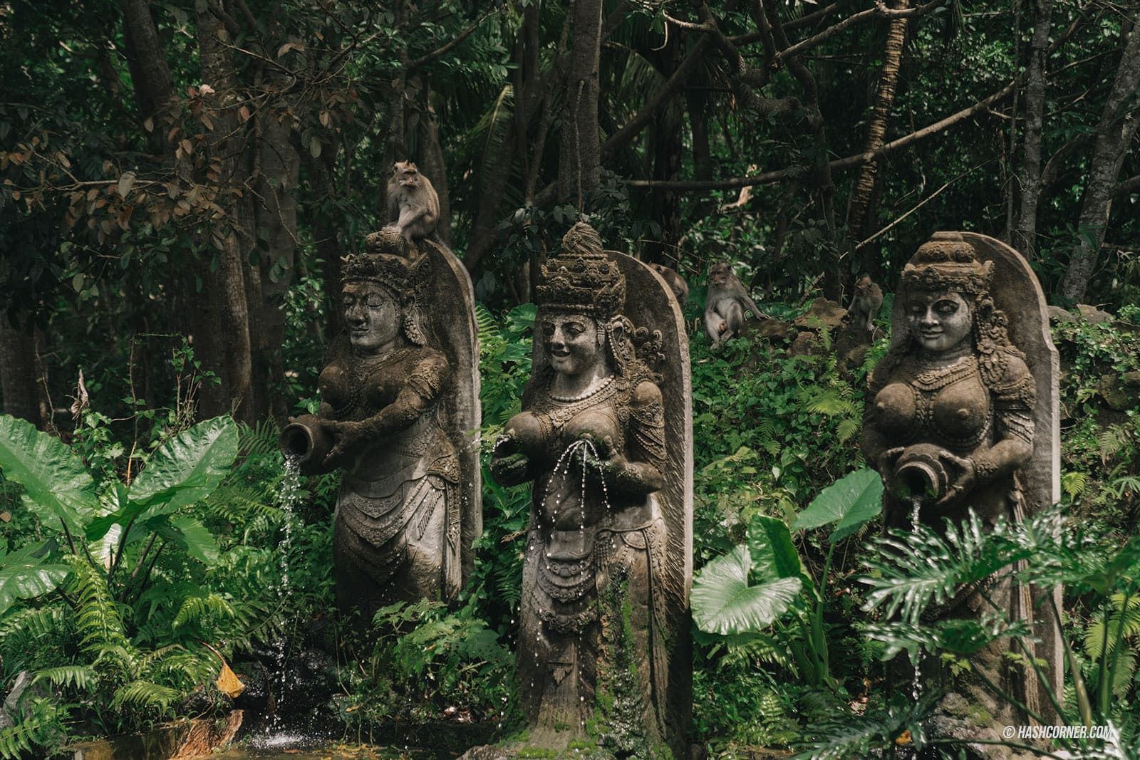 รีวิว ป่าลิงศักดิ์สิทธิ์ (Sacred Monkey Forest Sanctuary) x บาหลี 