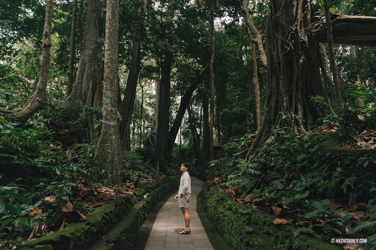 รีวิว ป่าลิงศักดิ์สิทธิ์ (Sacred Monkey Forest Sanctuary) x บาหลี 