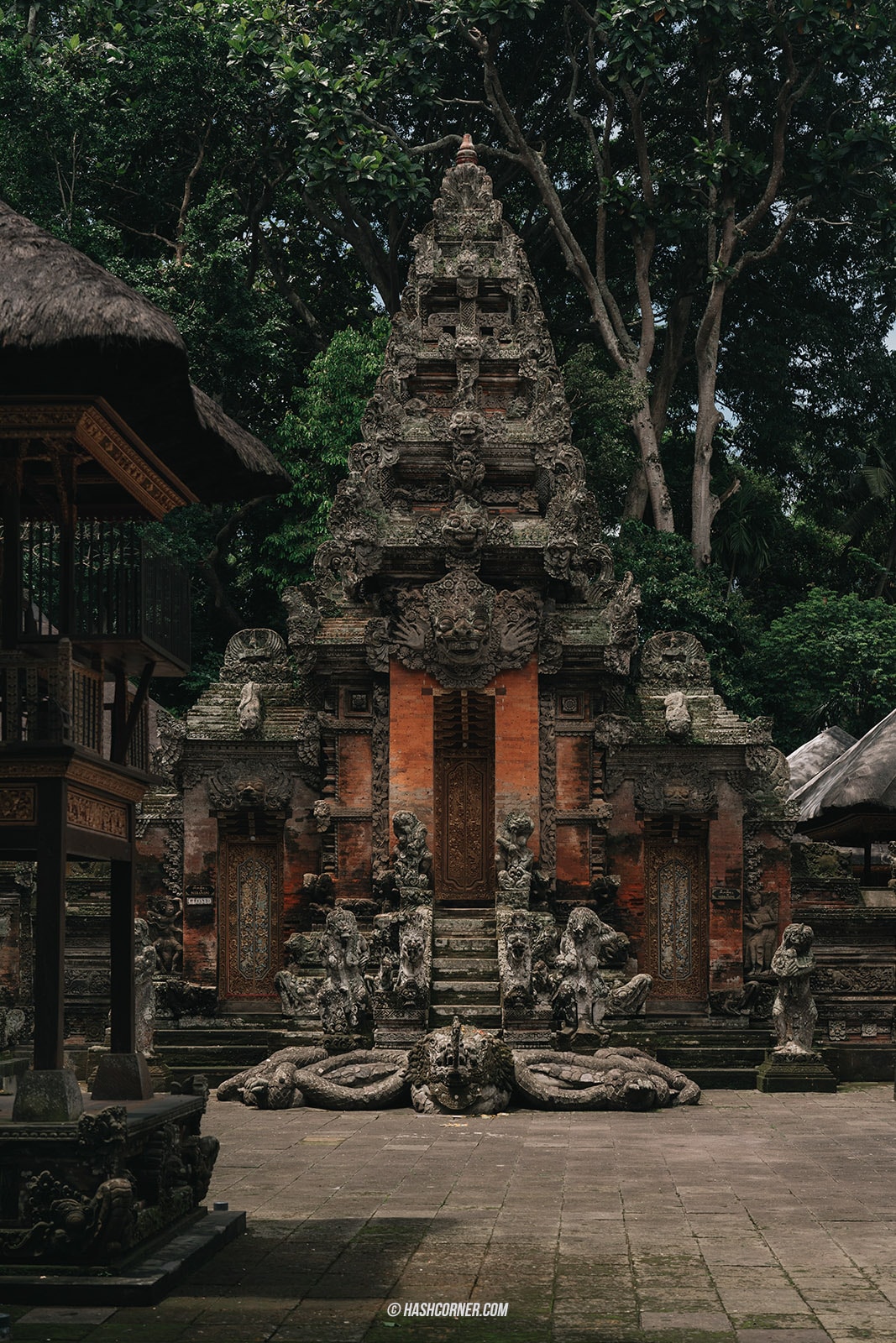 รีวิว ป่าลิงศักดิ์สิทธิ์ (Sacred Monkey Forest Sanctuary) x บาหลี 