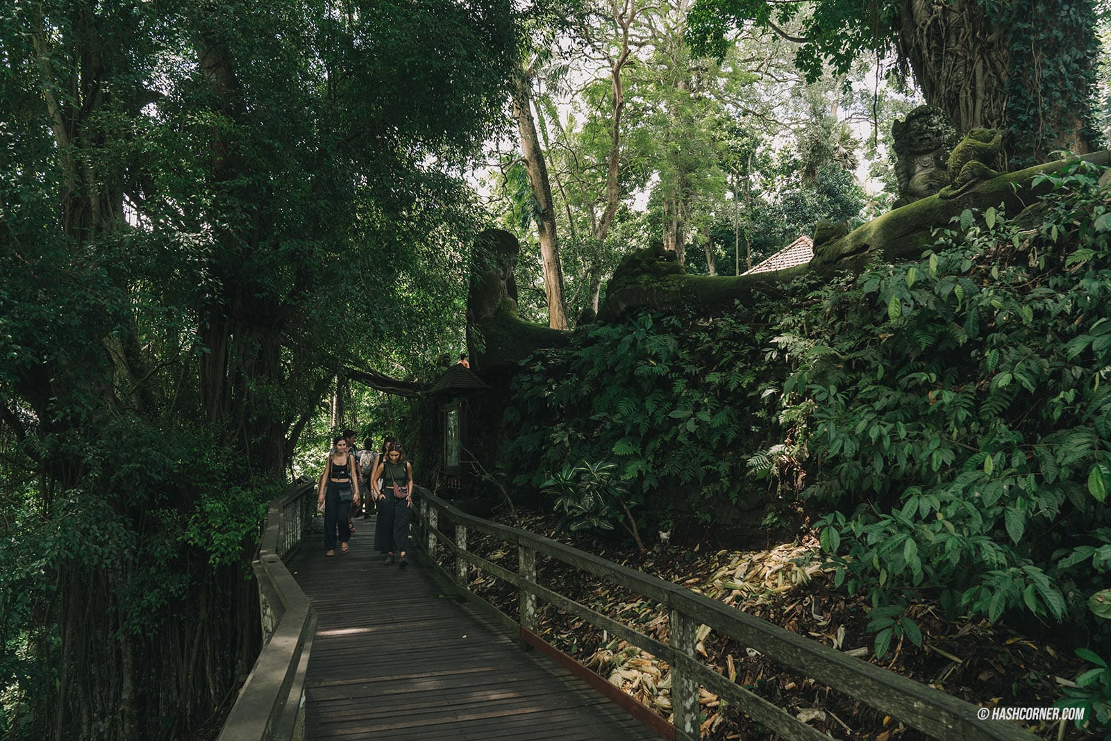 รีวิว ป่าลิงศักดิ์สิทธิ์ (Sacred Monkey Forest Sanctuary) x บาหลี 