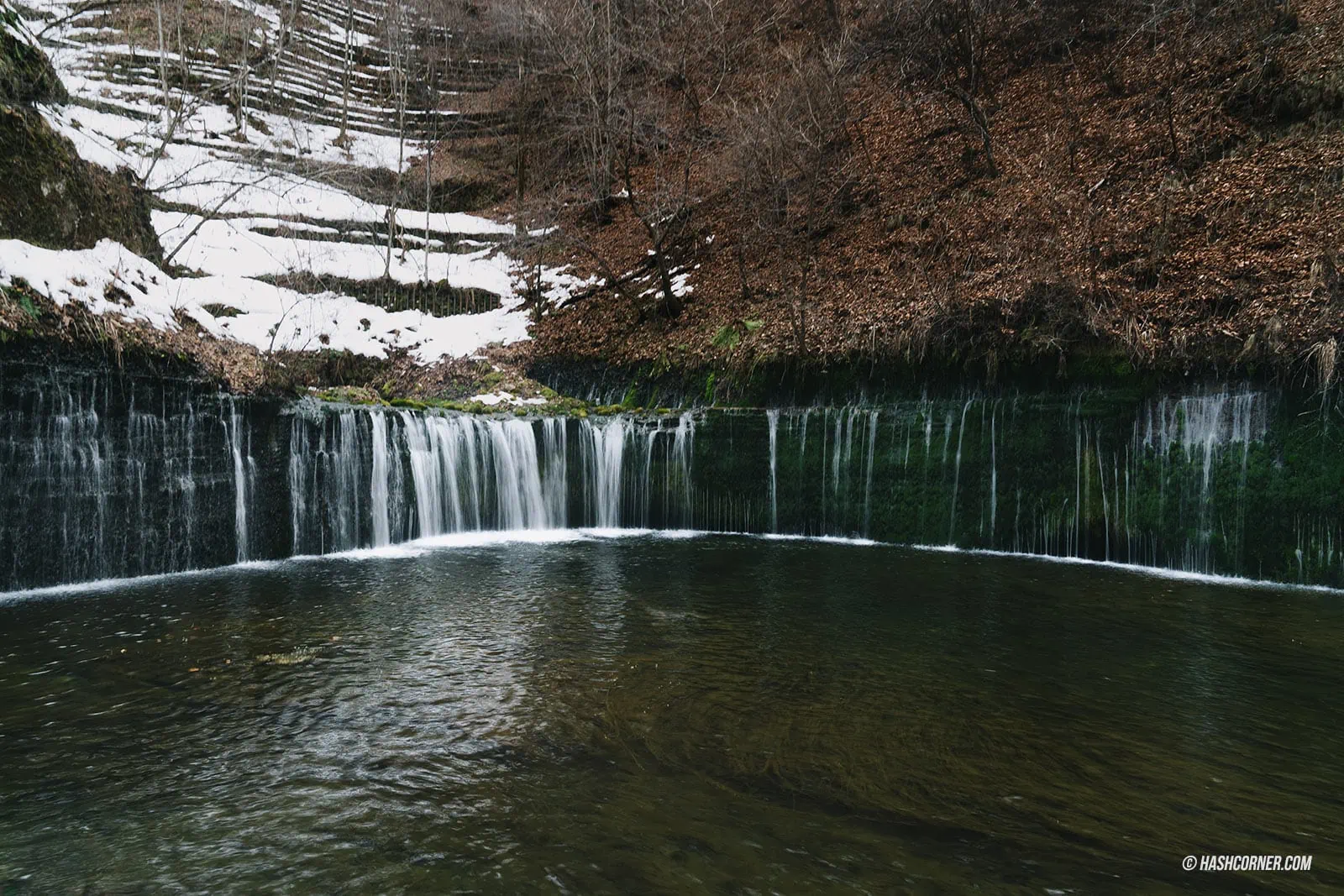 รีวิว น้ำตกชิราอิโตะ (Shiraito Falls) x คารุอิซาวะ เที่ยวน้ำตกเส้นด้ายสีขาว