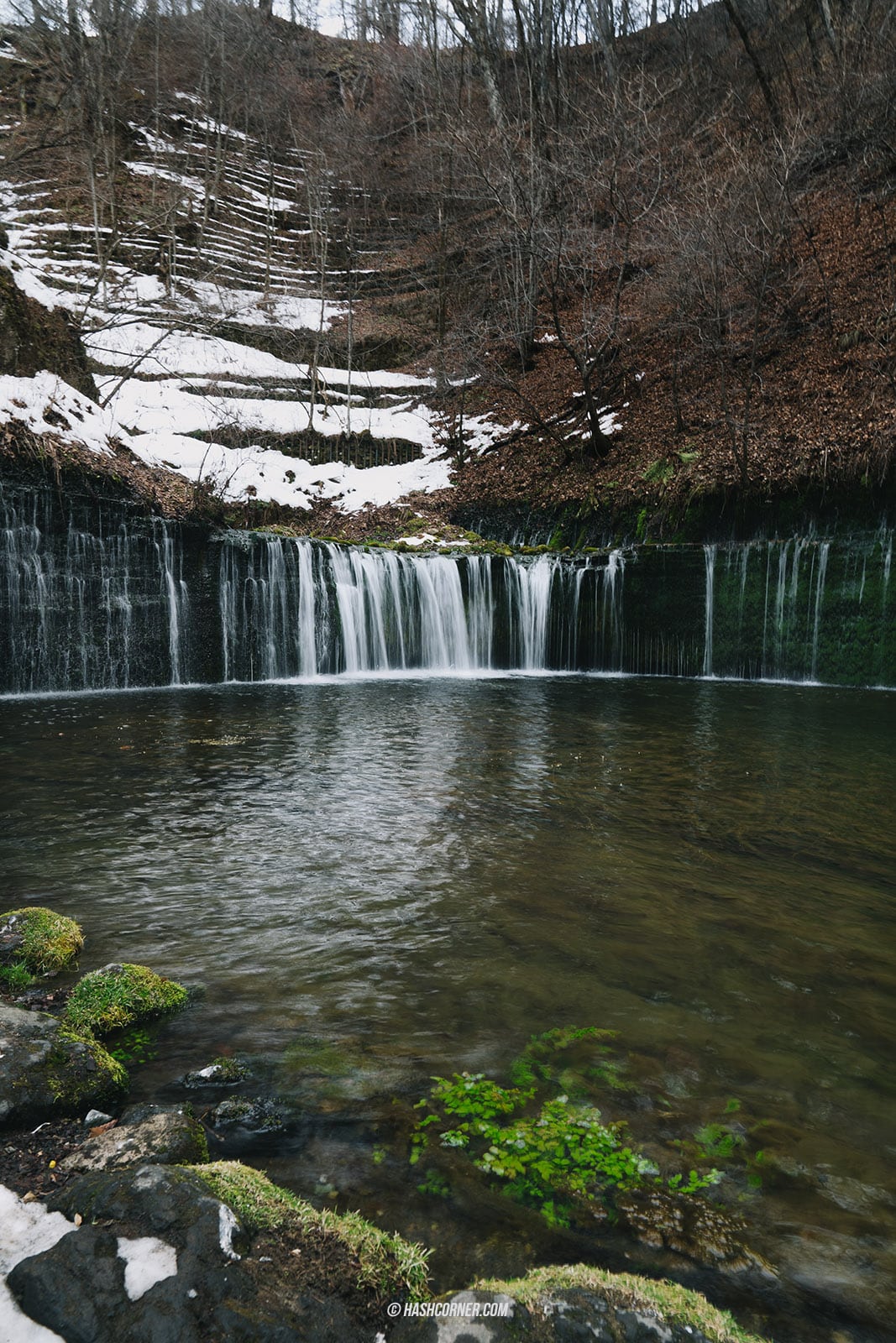 รีวิว น้ำตกชิราอิโตะ (Shiraito Falls) x คารุอิซาวะ เที่ยวน้ำตกเส้นด้ายสีขาว