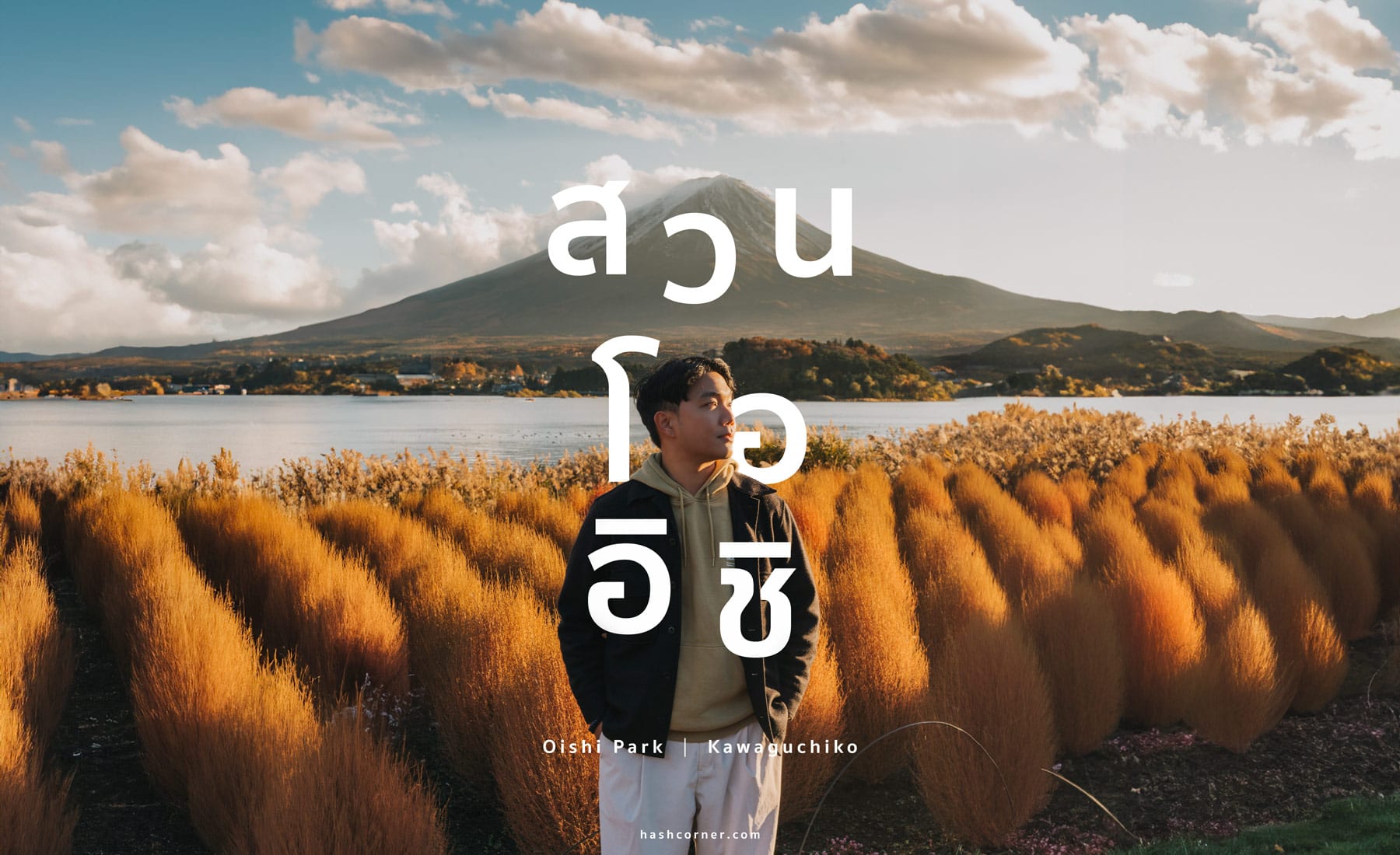 รีวิว สวนโออิชิ (Oishi Park) x คาวากุจิโกะ ทุ่งดอกไม้สุดคิ้วท์วิวฟูจิซัง