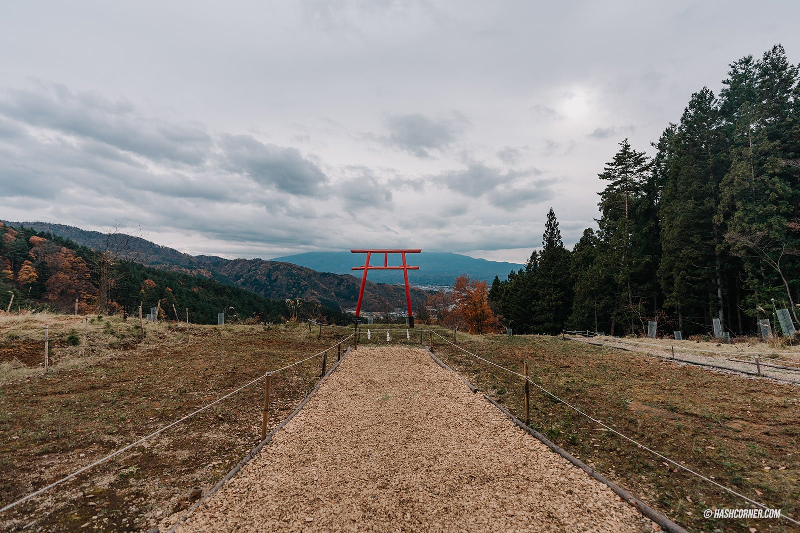 รีวิว เสาโทริอิแห่งท้องฟ้า (Tenku-no Torii) x คาวากุจิโกะ จุดชมวิวต้าวฟูจิที่ต้องมา