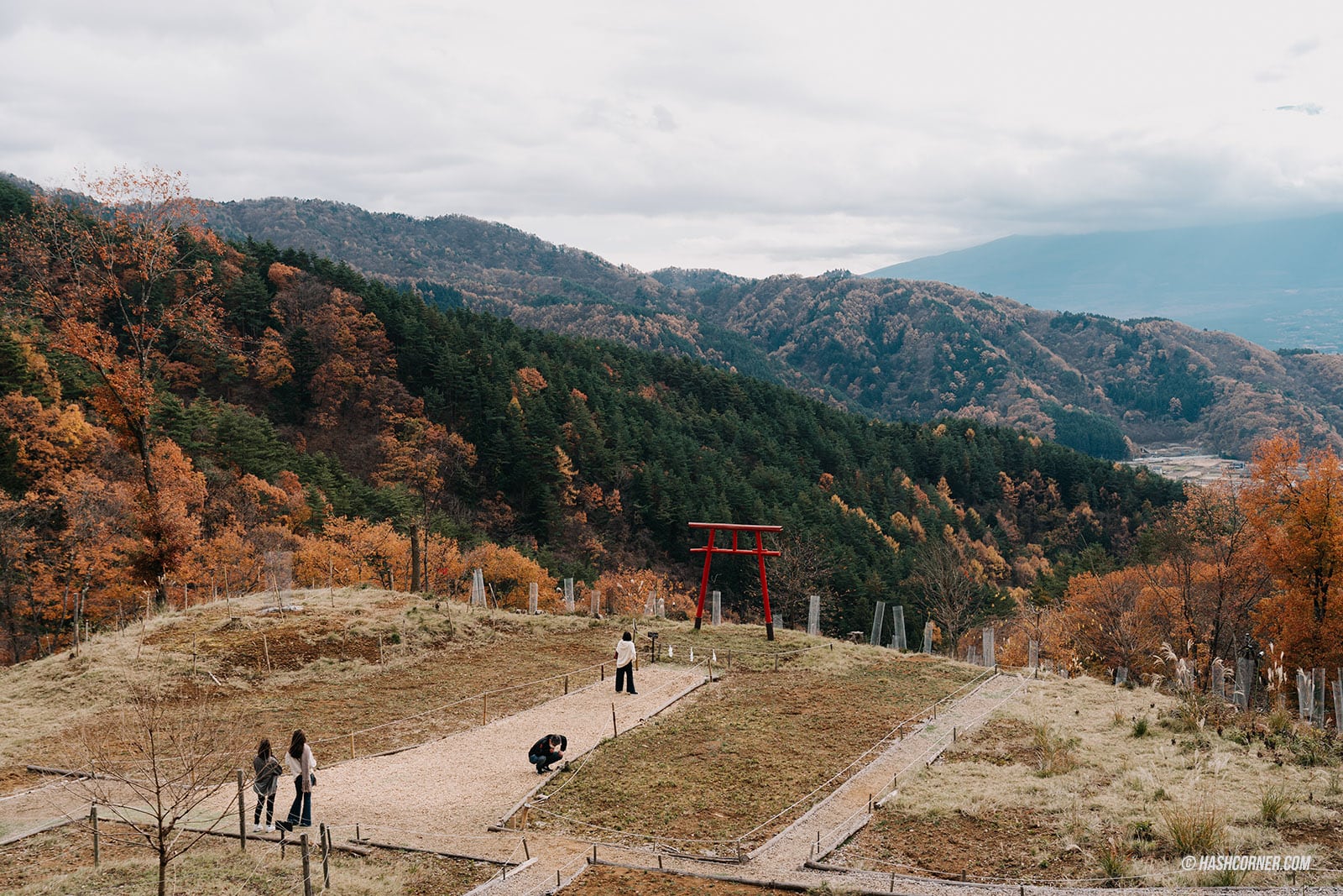 รีวิว เสาโทริอิแห่งท้องฟ้า (Tenku-no Torii) x คาวากุจิโกะ จุดชมวิวต้าวฟูจิที่ต้องมา