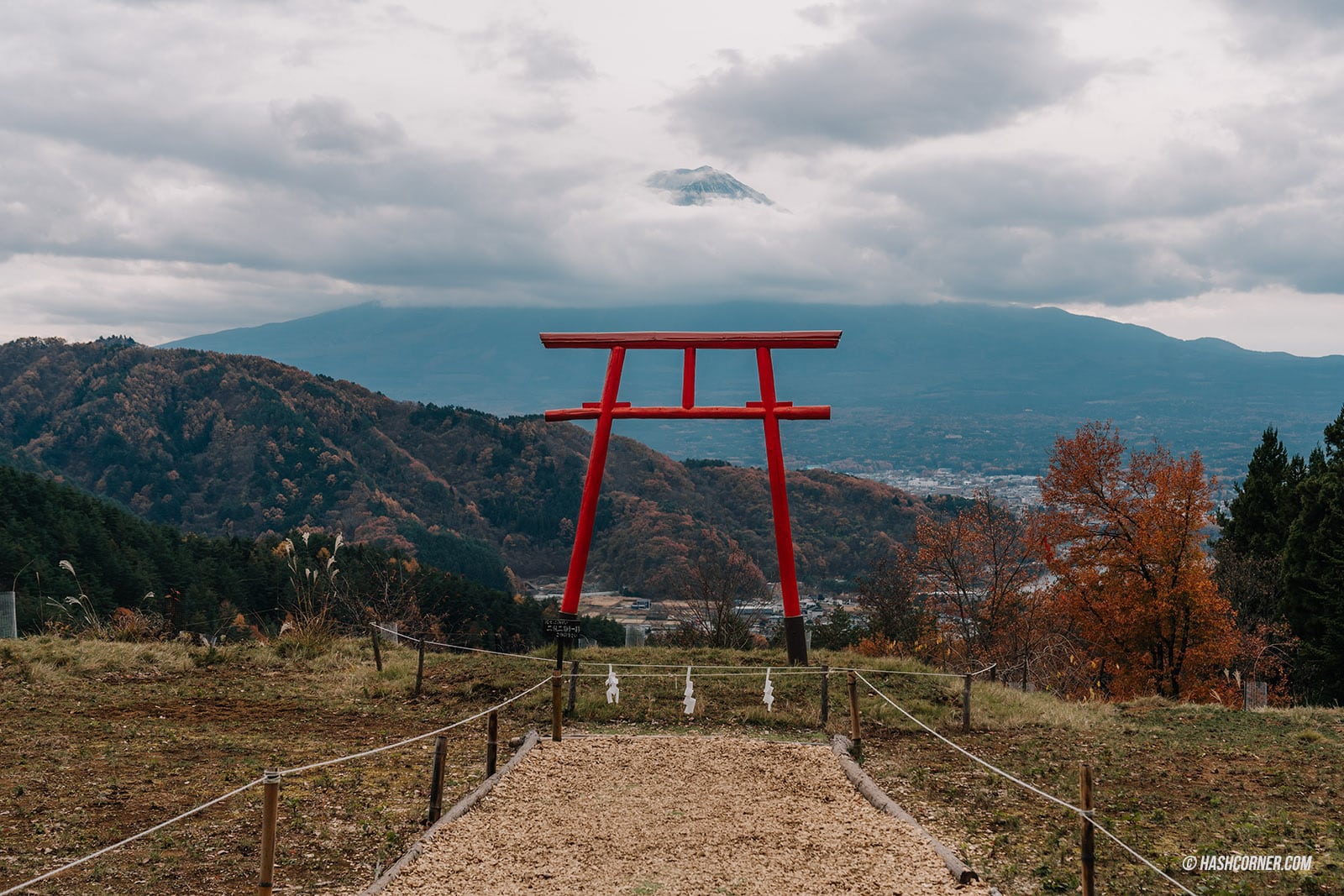 รีวิว เสาโทริอิแห่งท้องฟ้า (Tenku-no Torii) x คาวากุจิโกะ จุดชมวิวต้าวฟูจิที่ต้องมา