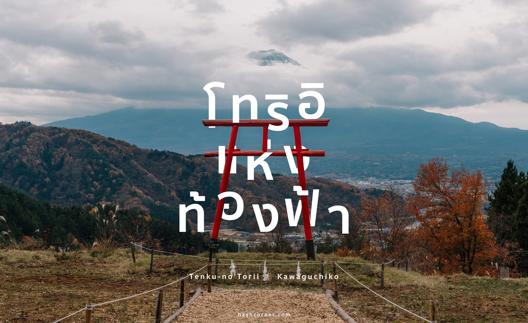รีวิว เสาโทริอิแห่งท้องฟ้า (Tenku-no Torii) x คาวากุจิโกะ จุดชมวิวต้าวฟูจิที่ต้องมา