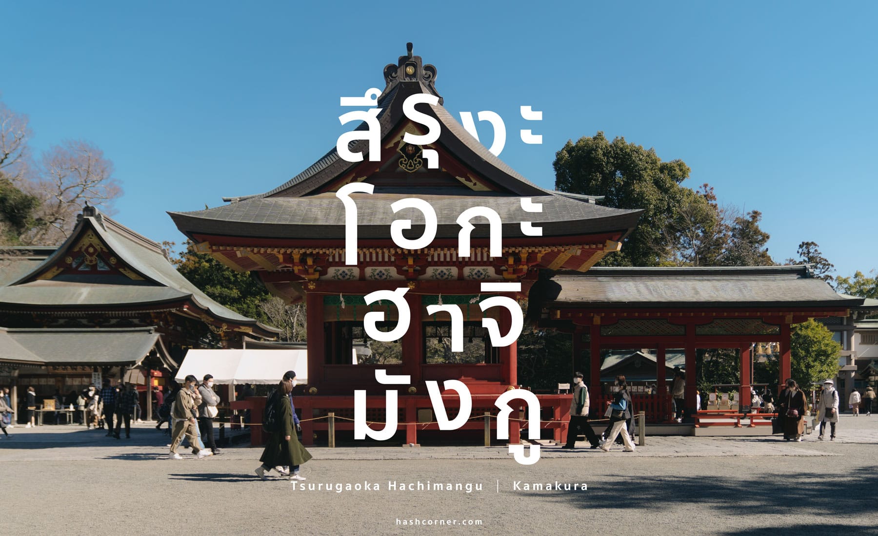 รีวิว ศาลเจ้าสึรุงะโอกะ ฮาจิมังกู (Tsurugaoka Hachimangu) x คามาคุระ